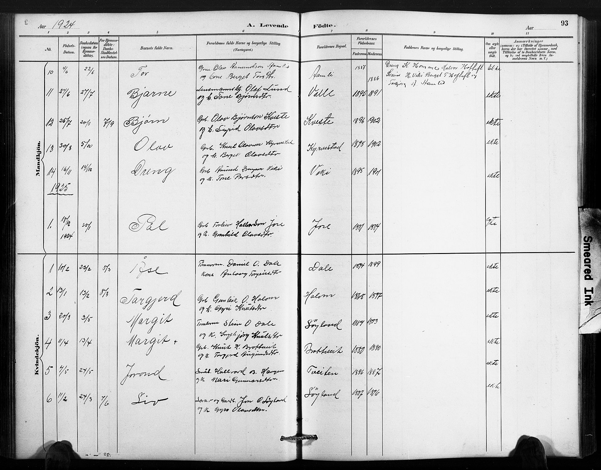 Valle sokneprestkontor, AV/SAK-1111-0044/F/Fb/Fbc/L0004: Parish register (copy) no. B 4, 1890-1928, p. 93