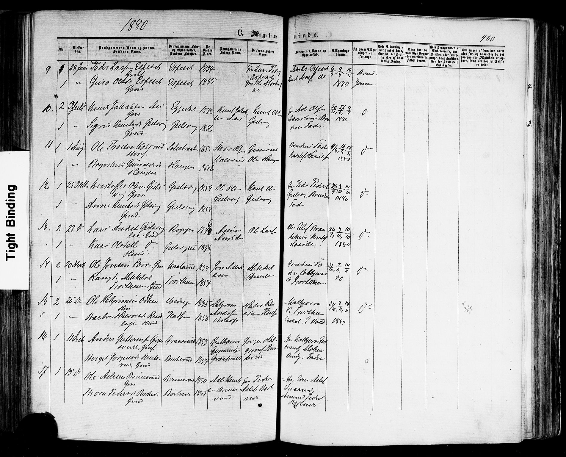 Nes kirkebøker, AV/SAKO-A-236/F/Fa/L0010: Parish register (official) no. 10, 1864-1880, p. 480