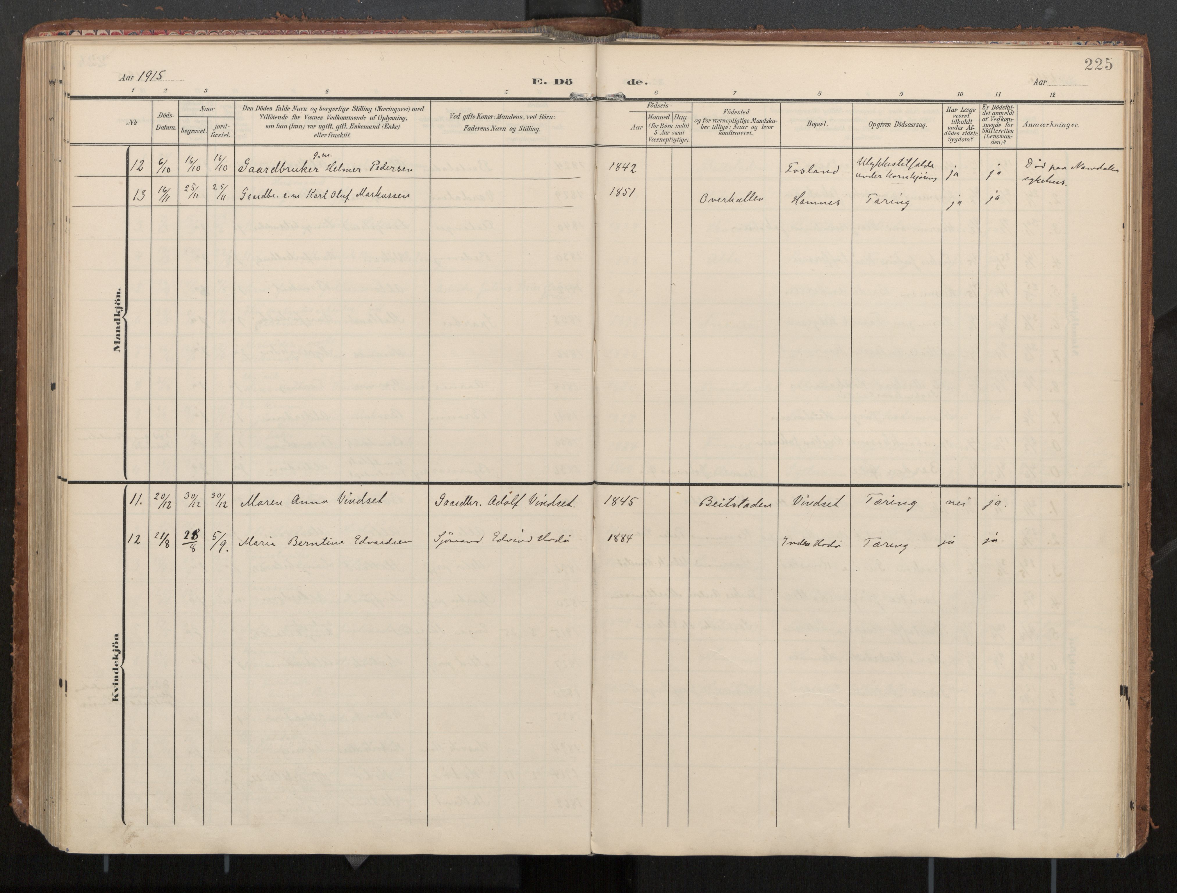 Ministerialprotokoller, klokkerbøker og fødselsregistre - Nord-Trøndelag, AV/SAT-A-1458/774/L0629: Parish register (official), 1904-1926, p. 225