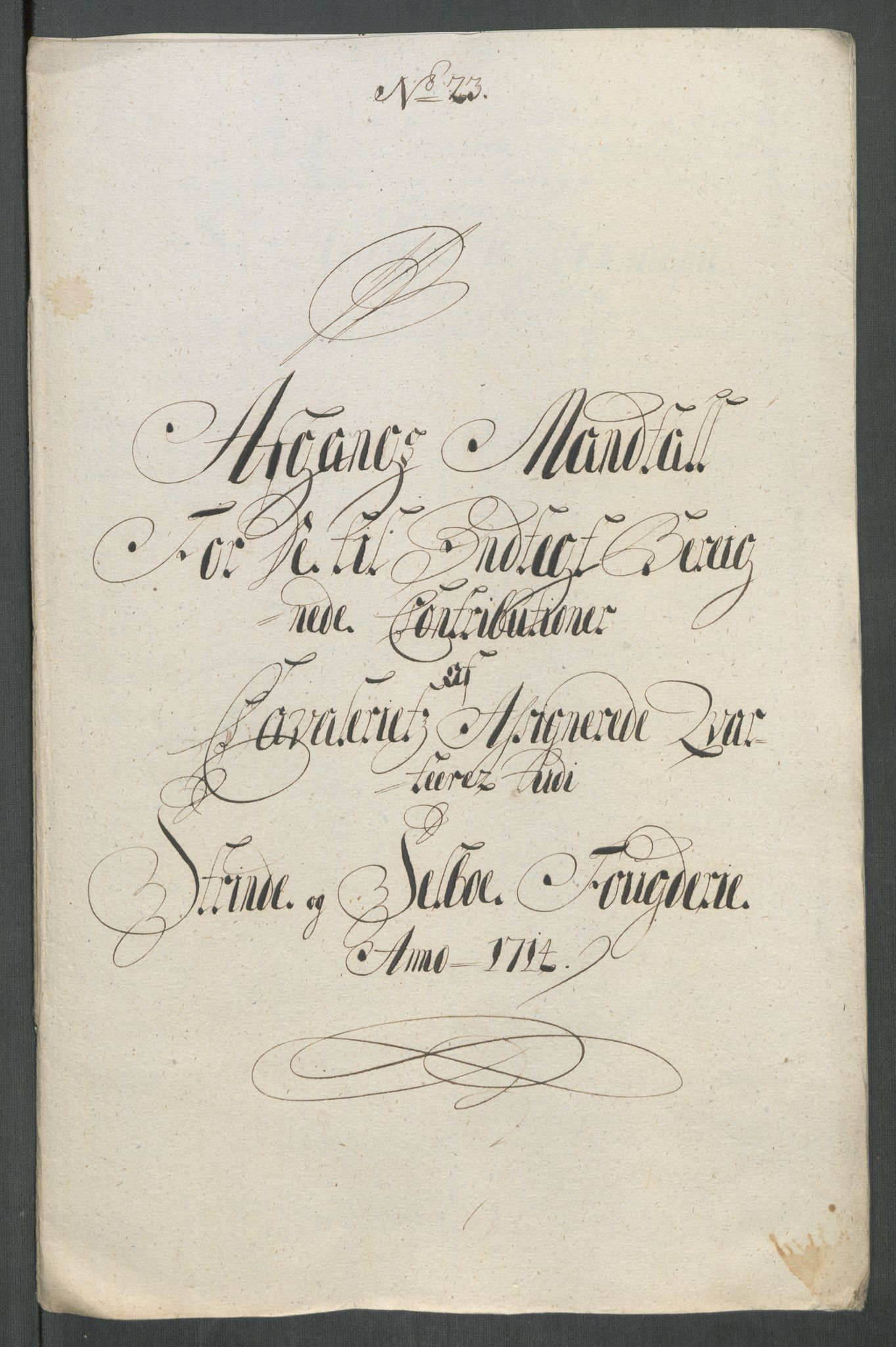 Rentekammeret inntil 1814, Reviderte regnskaper, Fogderegnskap, AV/RA-EA-4092/R61/L4114: Fogderegnskap Strinda og Selbu, 1714, p. 174