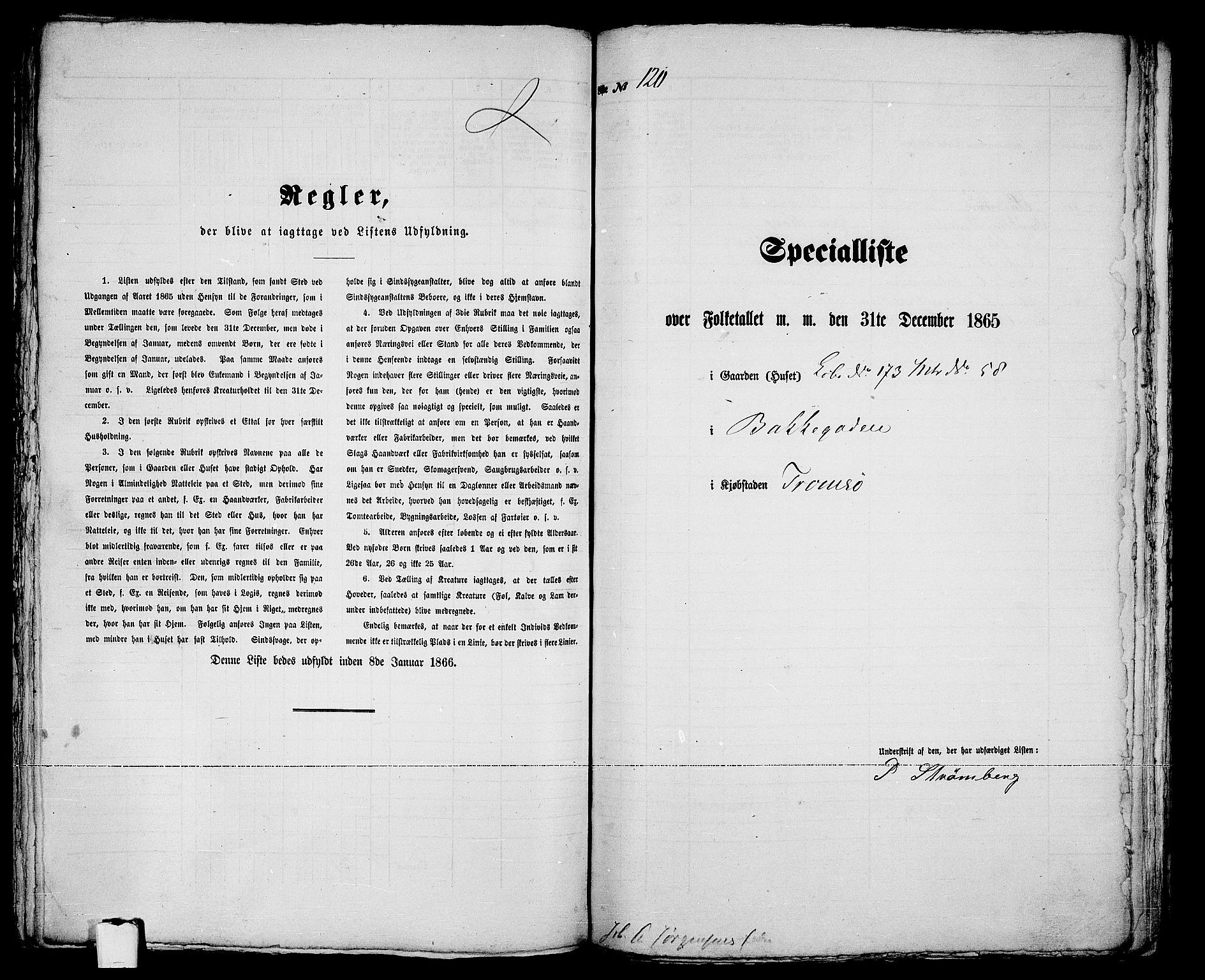 RA, 1865 census for Tromsø, 1865, p. 250