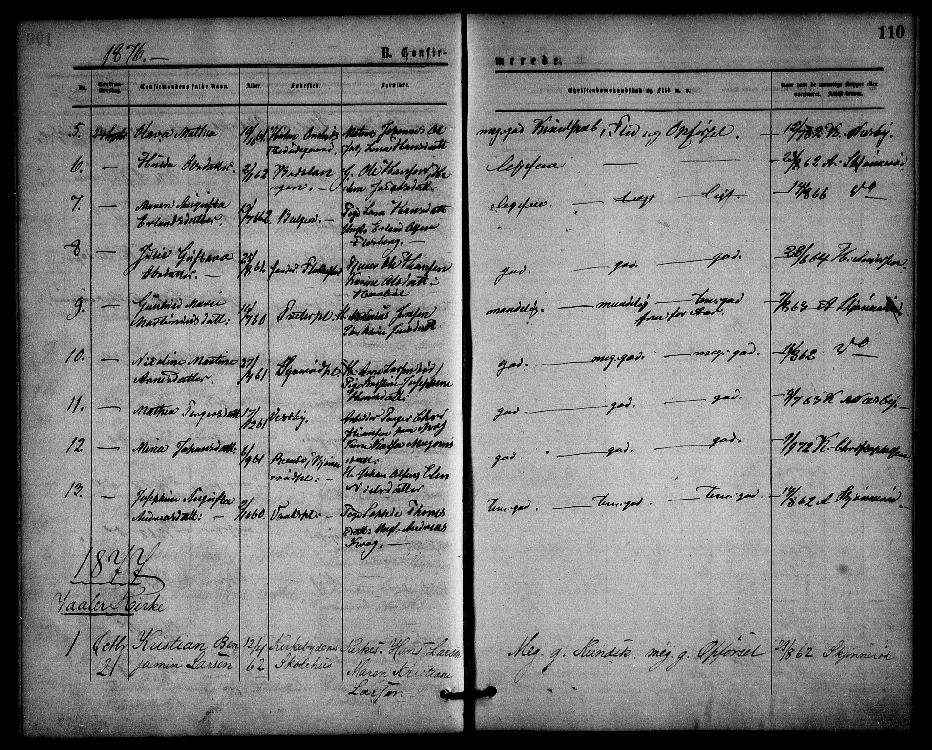 Våler prestekontor Kirkebøker, SAO/A-11083/F/Fa/L0009: Parish register (official) no. I 9, 1873-1877, p. 110