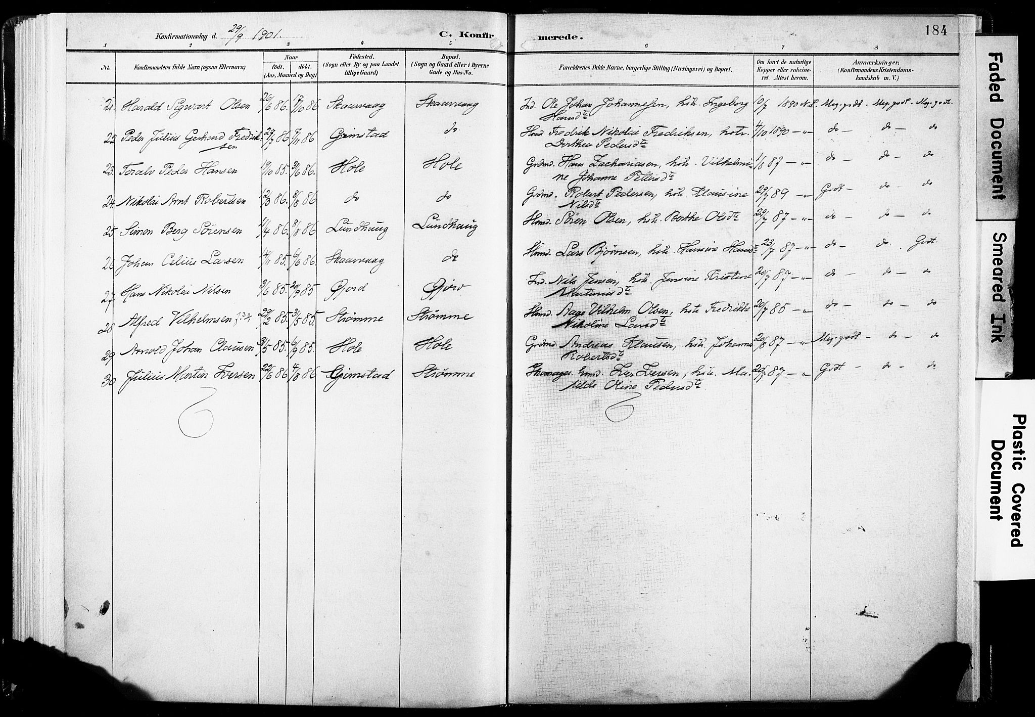 Ministerialprotokoller, klokkerbøker og fødselsregistre - Nordland, AV/SAT-A-1459/891/L1304: Parish register (official) no. 891A09, 1895-1921, p. 184