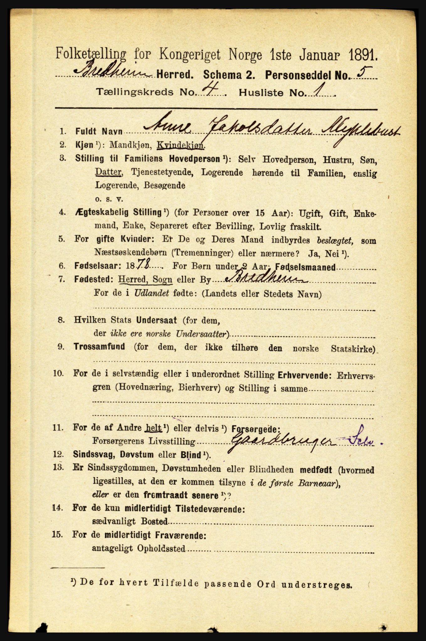 RA, 1891 census for 1446 Breim, 1891, p. 1306