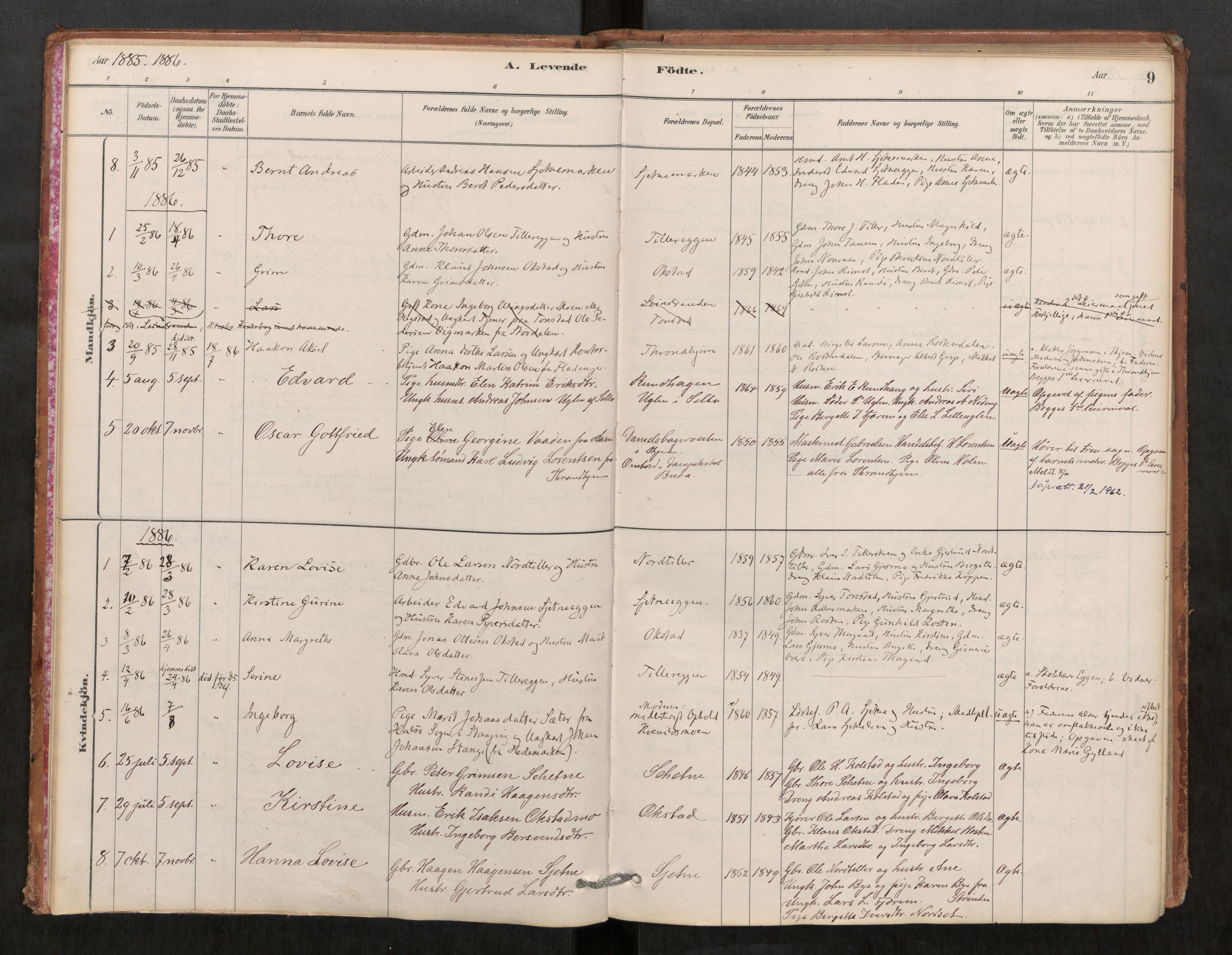 Klæbu sokneprestkontor, AV/SAT-A-1112: Parish register (official) no. 1, 1880-1900, p. 9