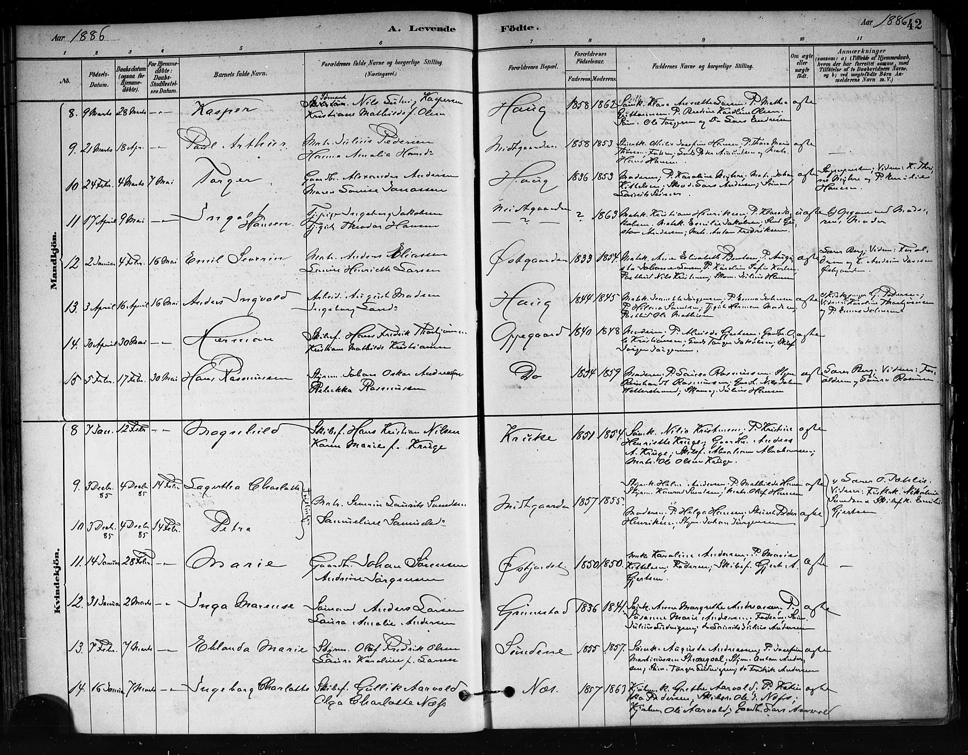 Tjøme kirkebøker, AV/SAKO-A-328/F/Fa/L0001: Parish register (official) no. I 1, 1879-1890, p. 42