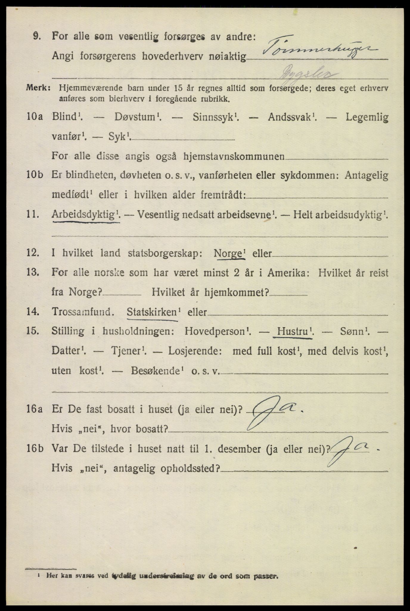 SAH, 1920 census for Engerdal, 1920, p. 2926