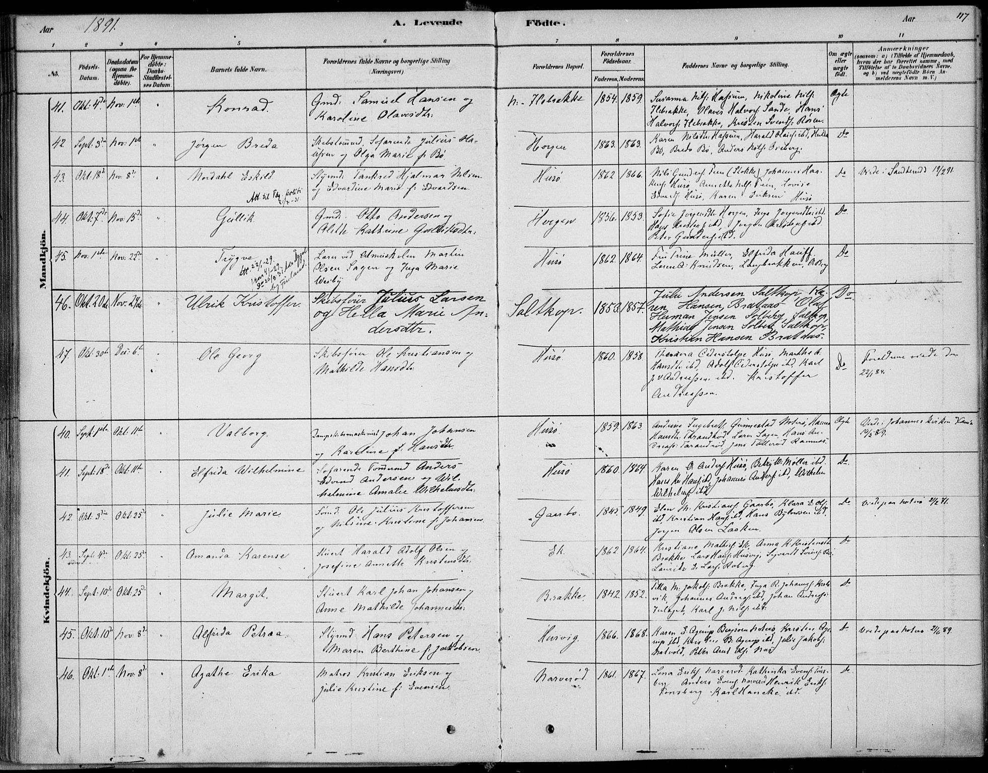 Sem kirkebøker, SAKO/A-5/F/Fb/L0004: Parish register (official) no. II 4, 1878-1891, p. 117