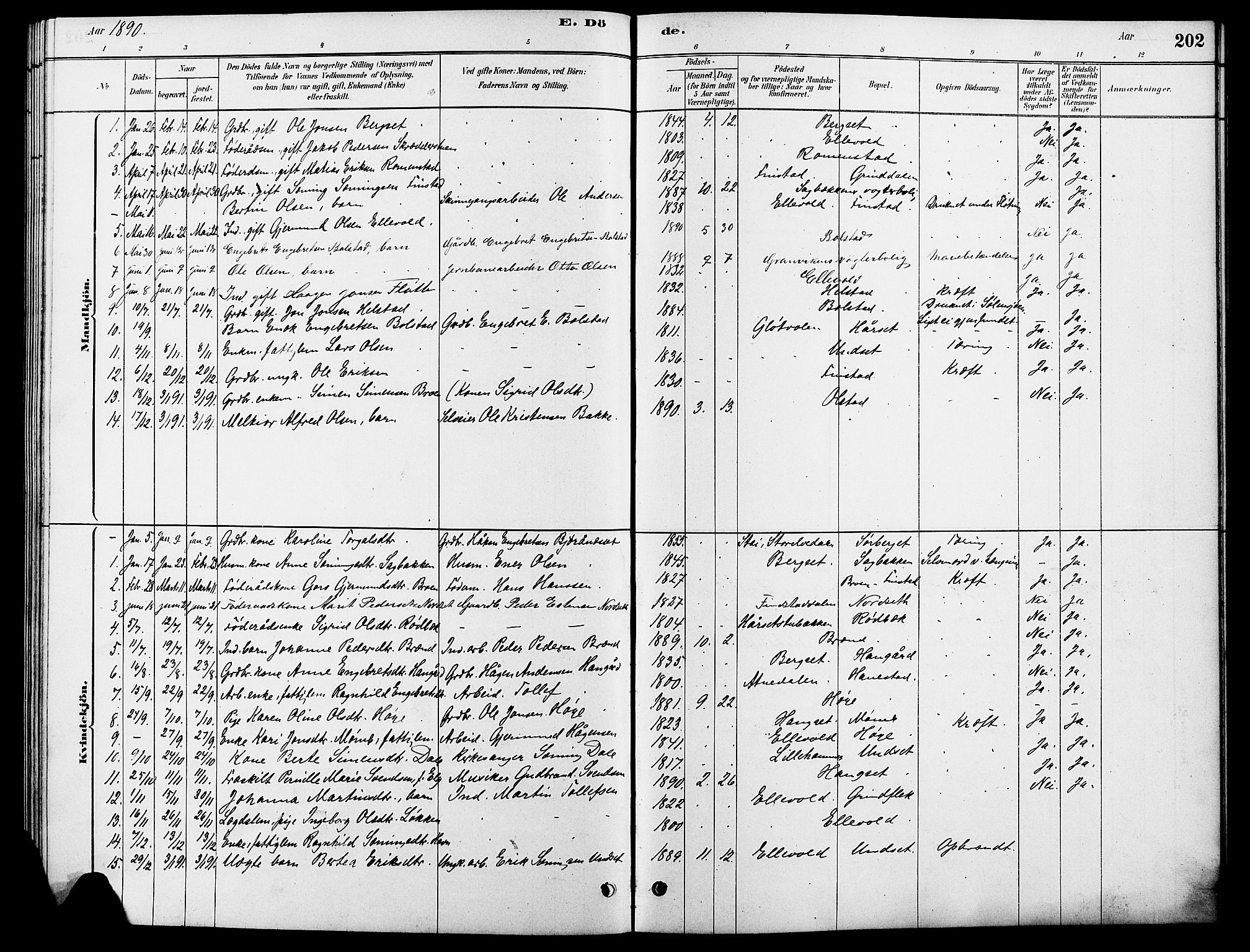 Rendalen prestekontor, SAH/PREST-054/H/Ha/Hab/L0003: Parish register (copy) no. 3, 1879-1904, p. 202