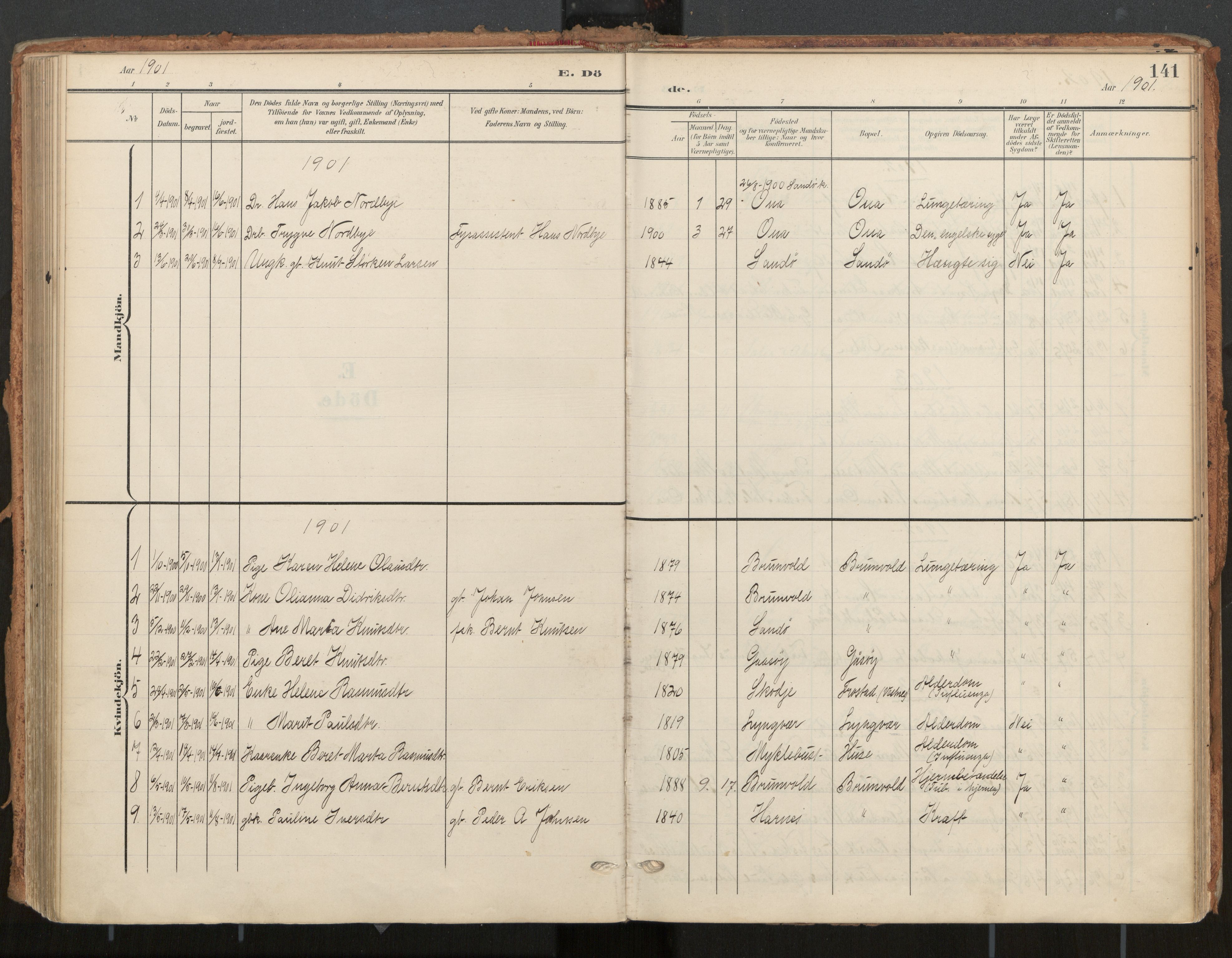 Ministerialprotokoller, klokkerbøker og fødselsregistre - Møre og Romsdal, SAT/A-1454/561/L0730: Parish register (official) no. 561A04, 1901-1929, p. 141