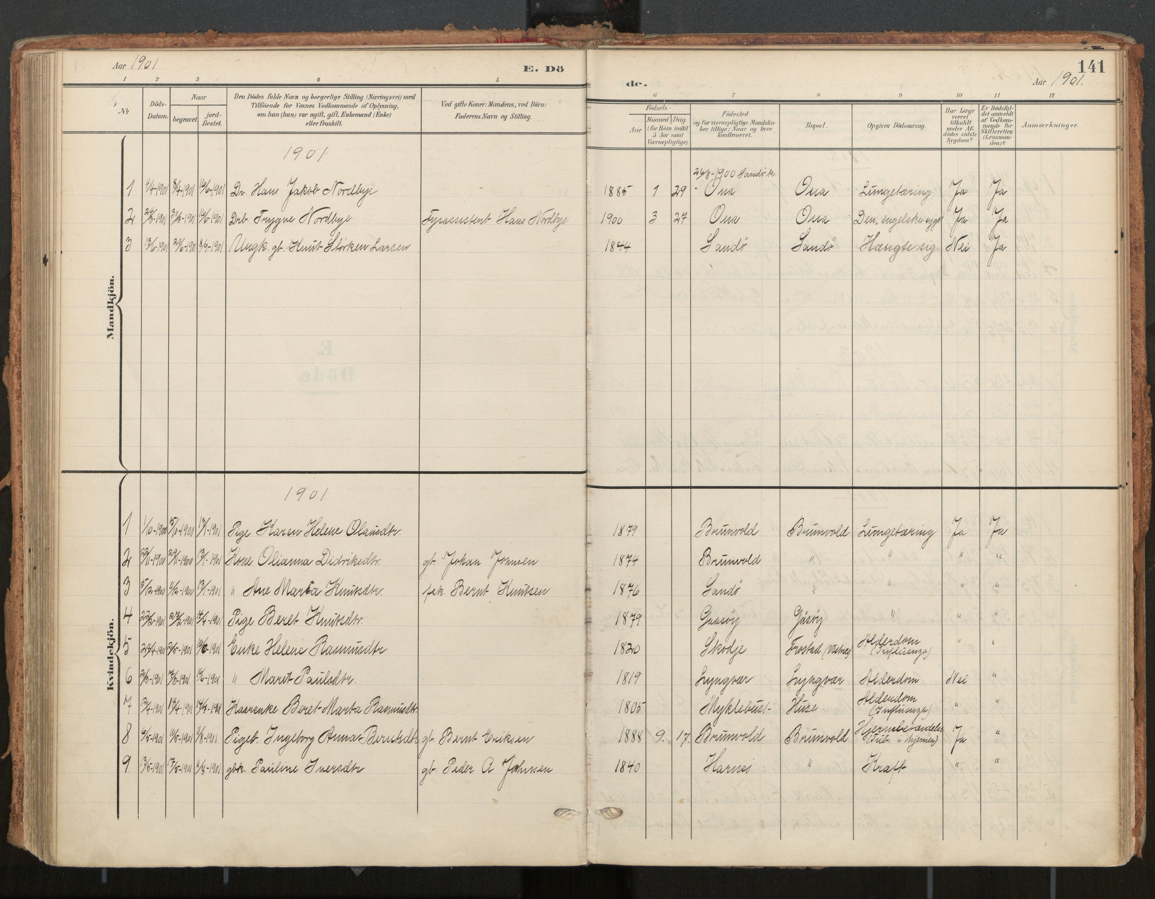 Ministerialprotokoller, klokkerbøker og fødselsregistre - Møre og Romsdal, AV/SAT-A-1454/561/L0730: Parish register (official) no. 561A04, 1901-1929, p. 141