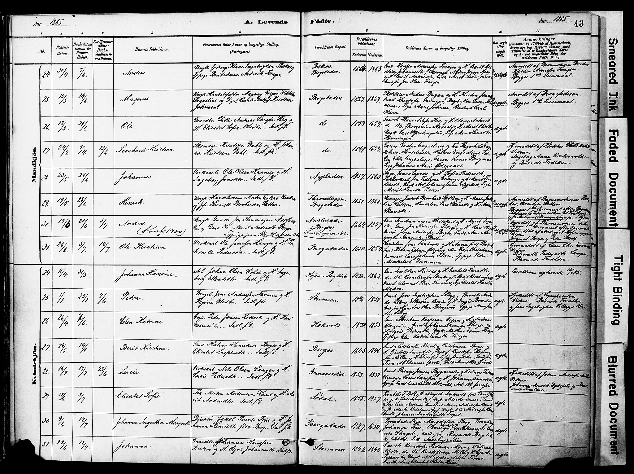Ministerialprotokoller, klokkerbøker og fødselsregistre - Sør-Trøndelag, SAT/A-1456/681/L0933: Parish register (official) no. 681A11, 1879-1890, p. 43