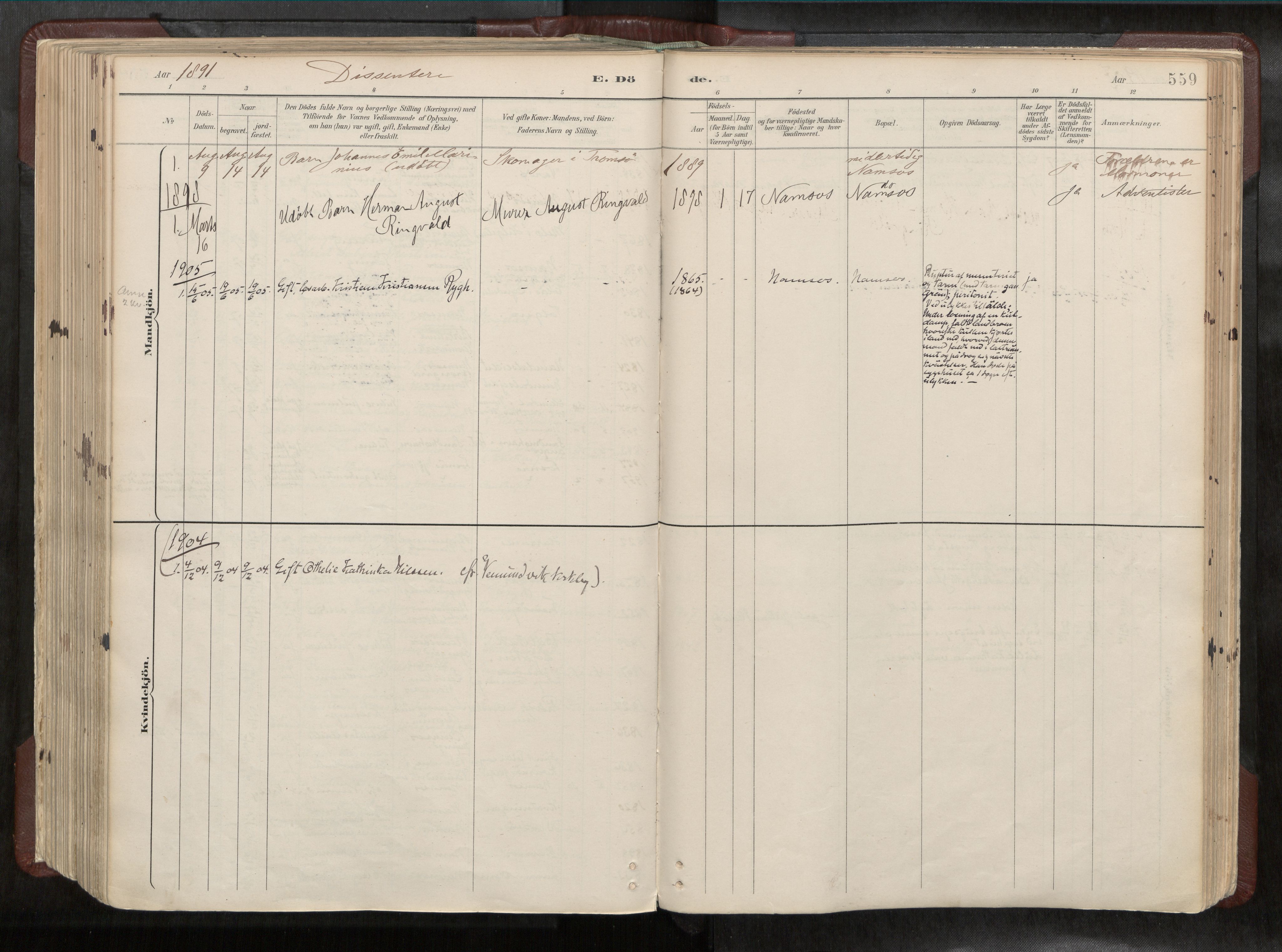 Ministerialprotokoller, klokkerbøker og fødselsregistre - Nord-Trøndelag, SAT/A-1458/768/L0579a: Parish register (official) no. 768A14, 1887-1931, p. 559