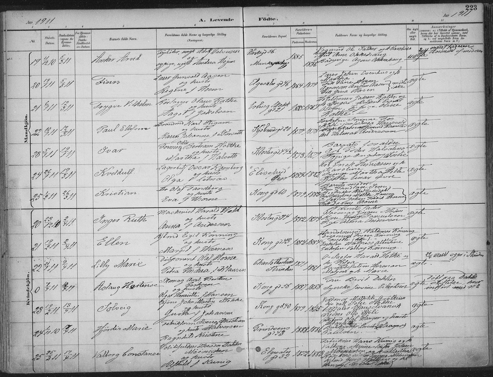 Ministerialprotokoller, klokkerbøker og fødselsregistre - Sør-Trøndelag, AV/SAT-A-1456/601/L0062: Parish register (official) no. 601A30, 1891-1911, p. 223