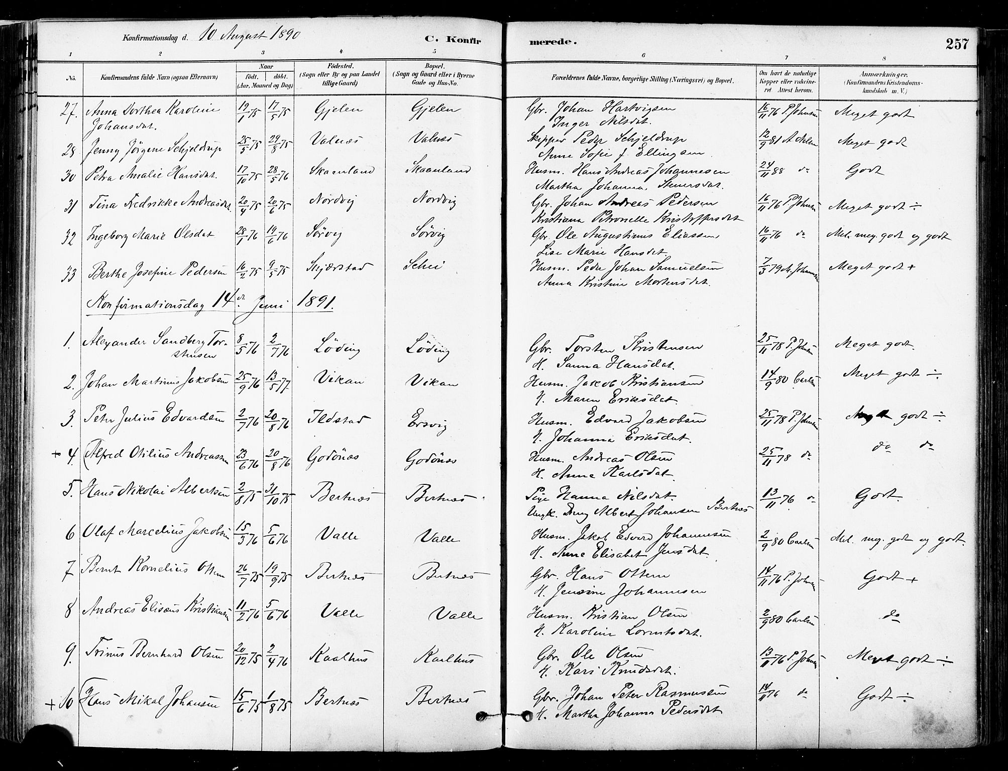 Ministerialprotokoller, klokkerbøker og fødselsregistre - Nordland, SAT/A-1459/802/L0054: Parish register (official) no. 802A01, 1879-1893, p. 257