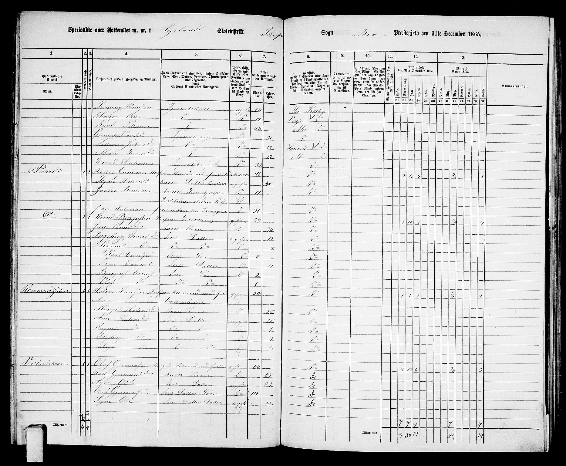 RA, 1865 census for Mo, 1865, p. 85