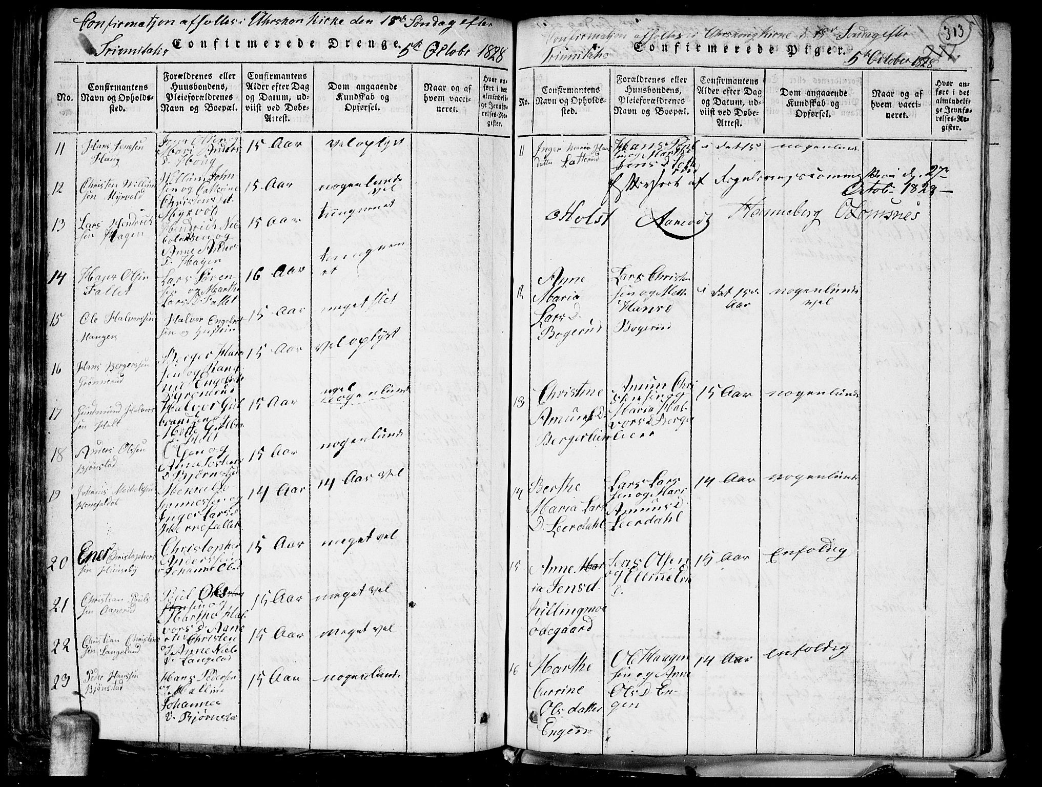 Aurskog prestekontor Kirkebøker, AV/SAO-A-10304a/G/Ga/L0001: Parish register (copy) no. I 1, 1814-1829, p. 313