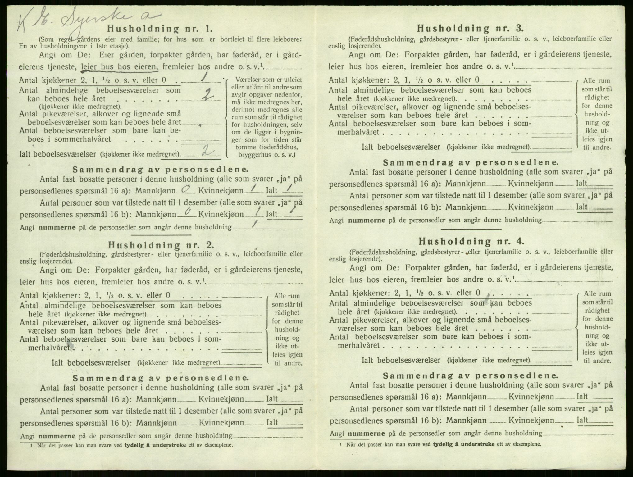 SAKO, 1920 census for Botne, 1920, p. 738