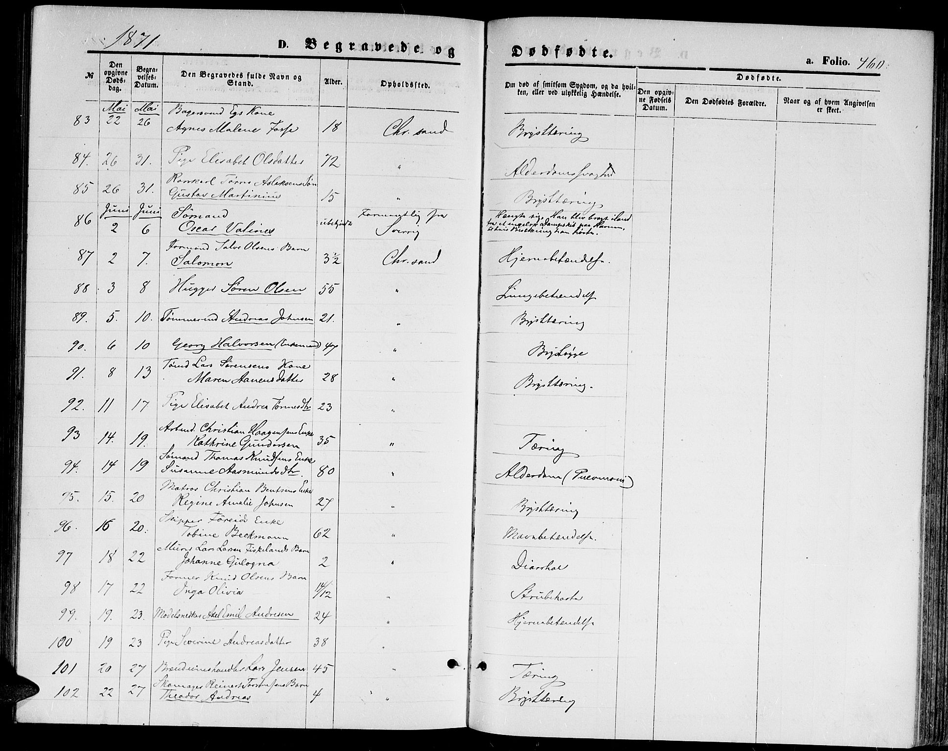 Kristiansand domprosti, AV/SAK-1112-0006/F/Fb/L0013: Parish register (copy) no. B 13, 1871-1880, p. 460