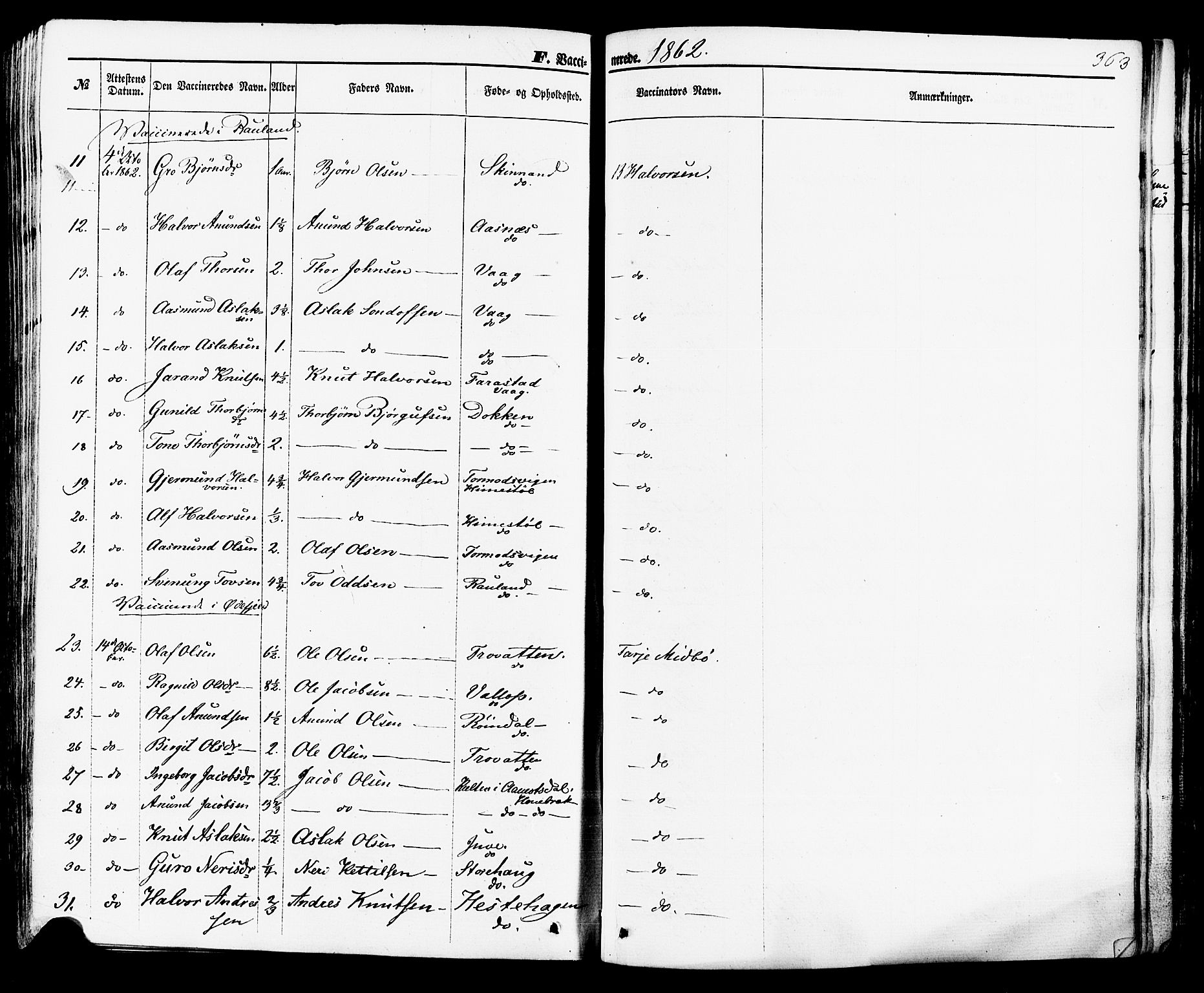 Rauland kirkebøker, SAKO/A-292/F/Fa/L0003: Parish register (official) no. 3, 1859-1886, p. 363