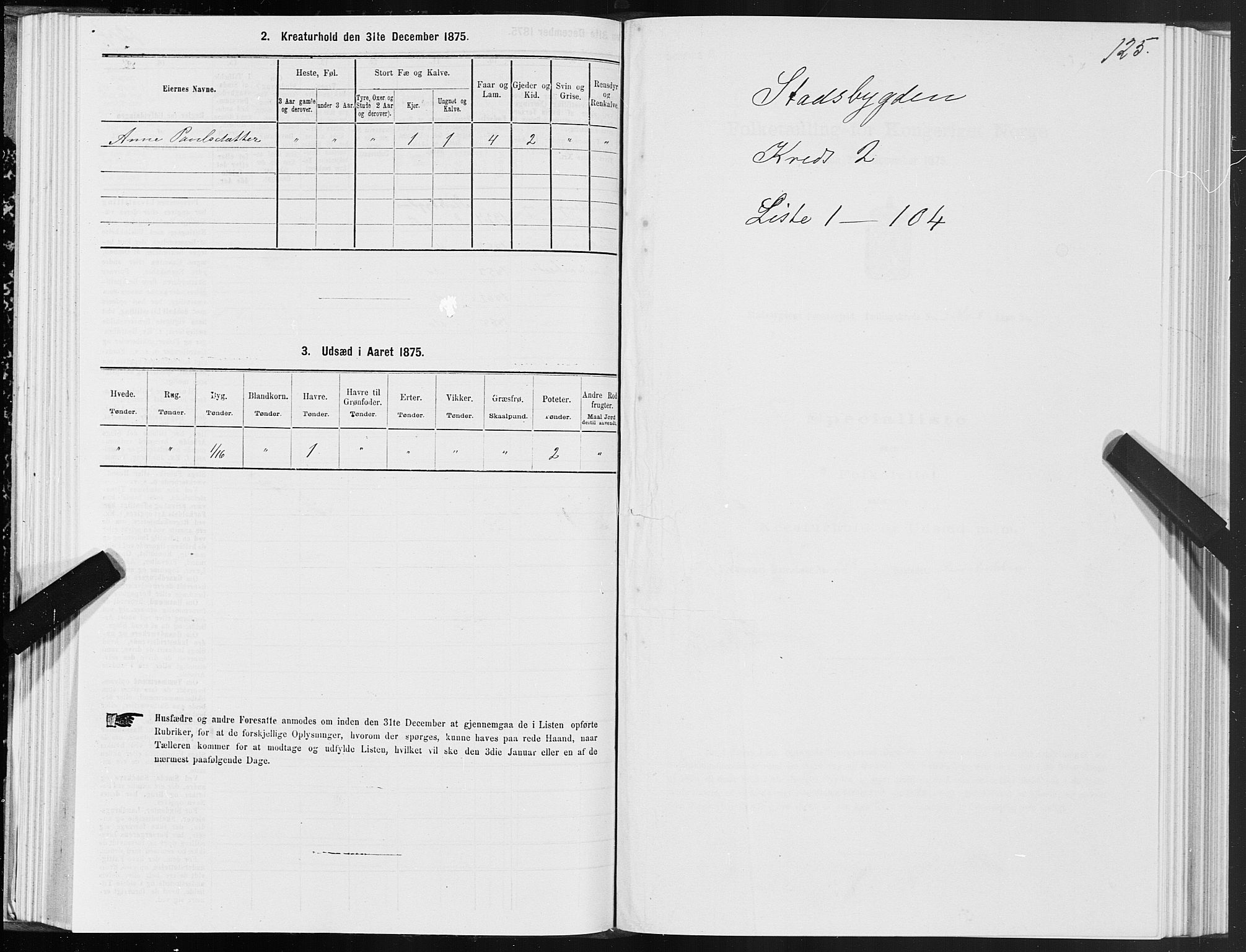 SAT, 1875 census for 1625P Stadsbygd, 1875, p. 1125