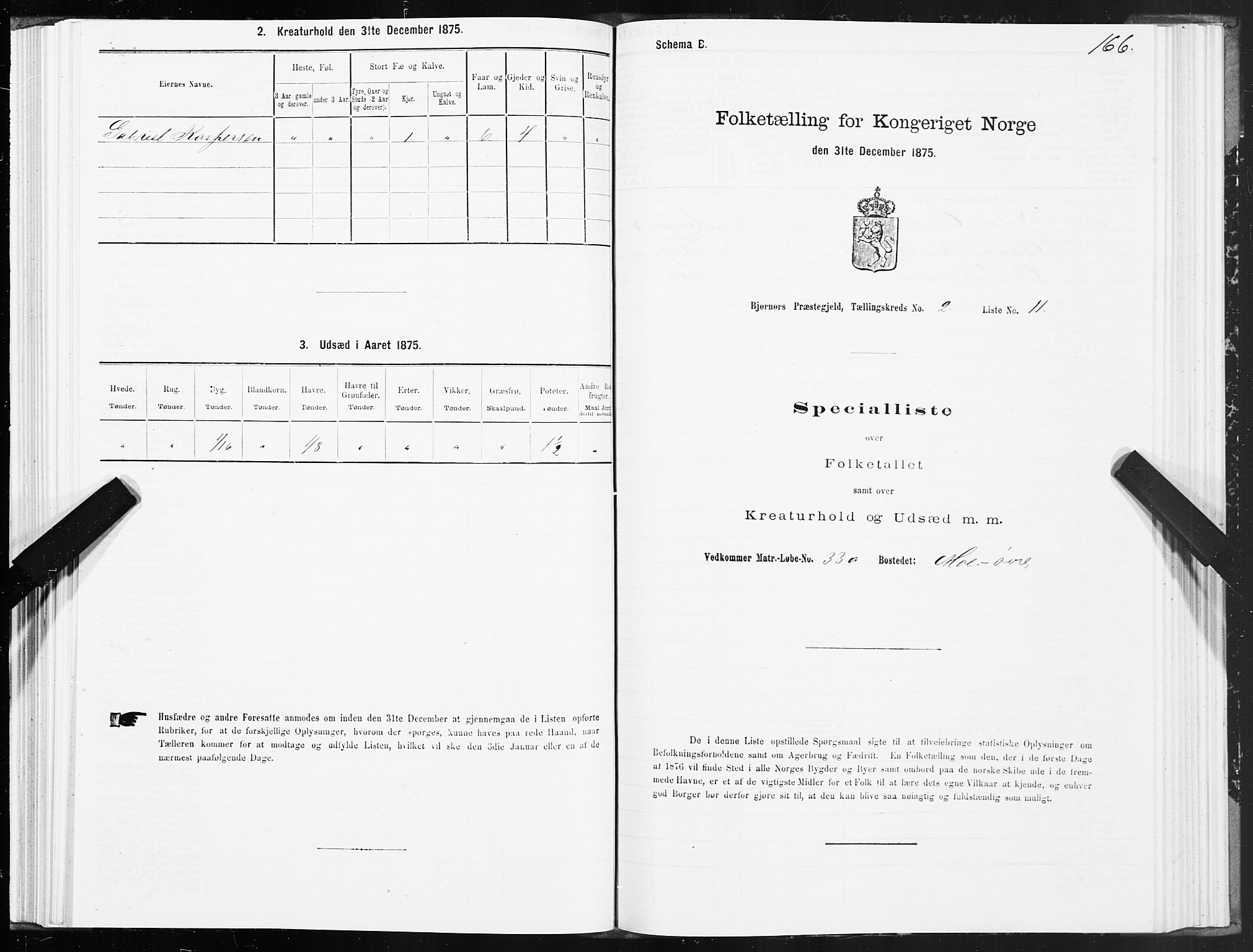 SAT, 1875 census for 1632P Bjørnør, 1875, p. 1166