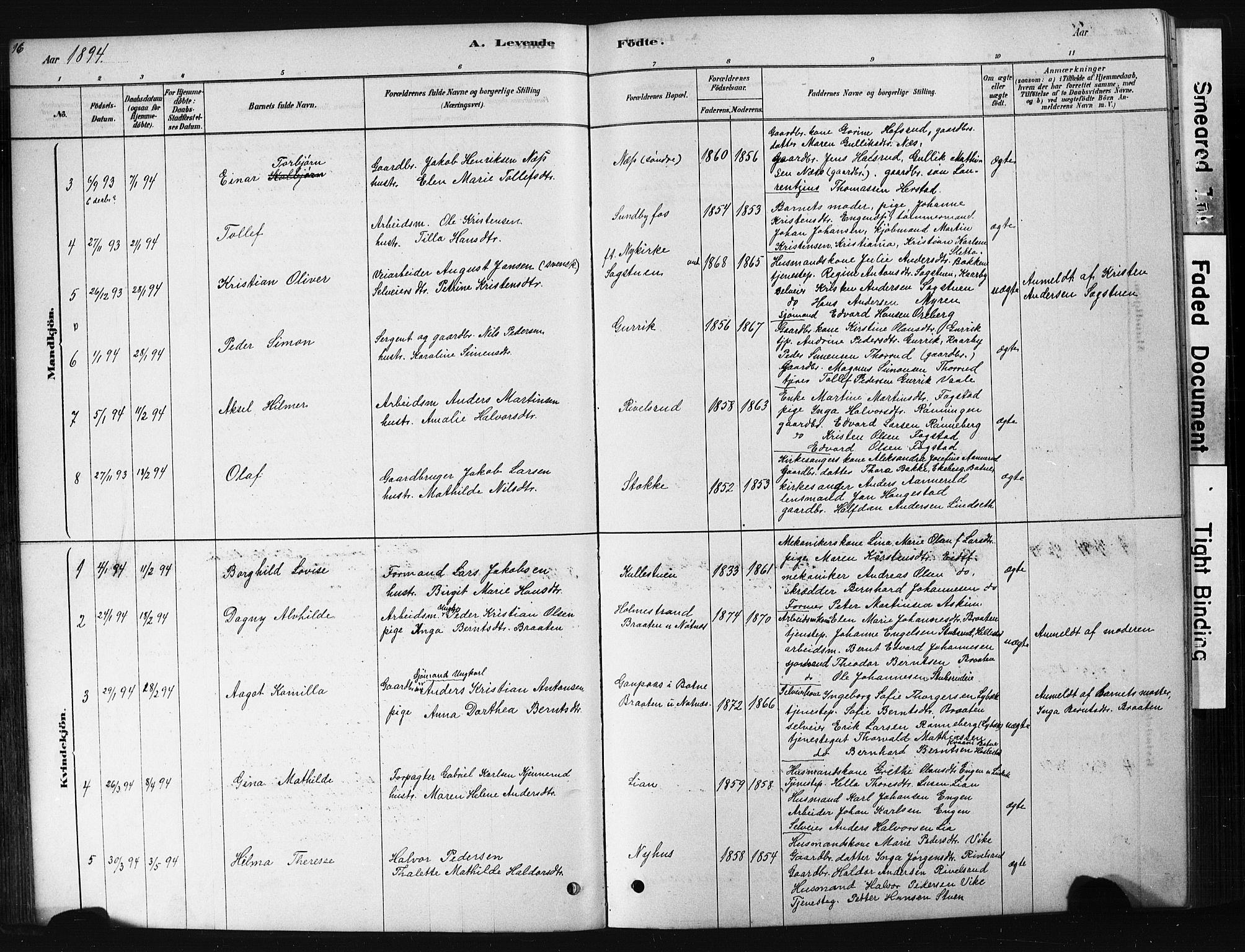 Hof kirkebøker, AV/SAKO-A-64/G/Ga/L0004: Parish register (copy) no. I 4, 1878-1930, p. 96