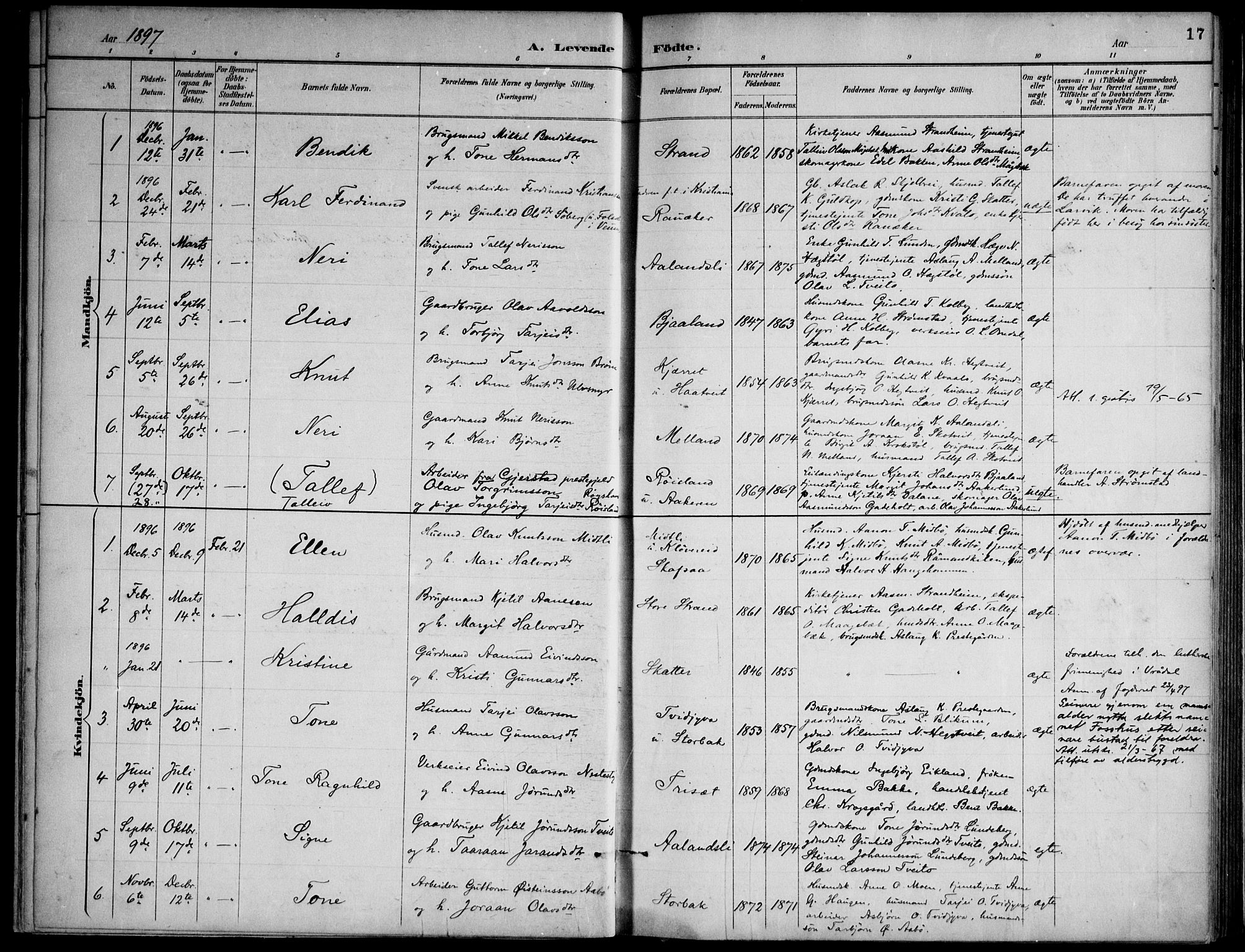 Lårdal kirkebøker, SAKO/A-284/F/Fa/L0007: Parish register (official) no. I 7, 1887-1906, p. 17