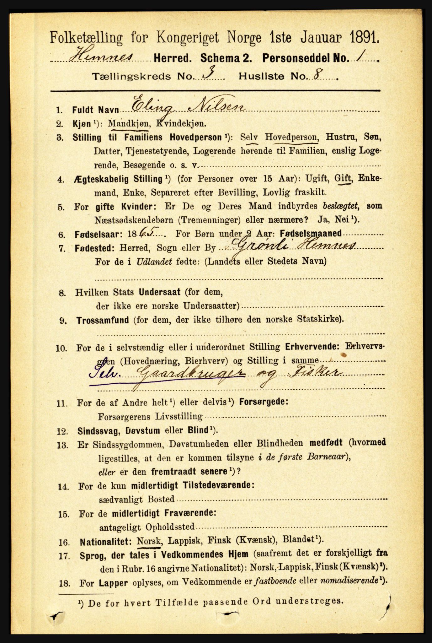 RA, 1891 census for 1832 Hemnes, 1891, p. 1976