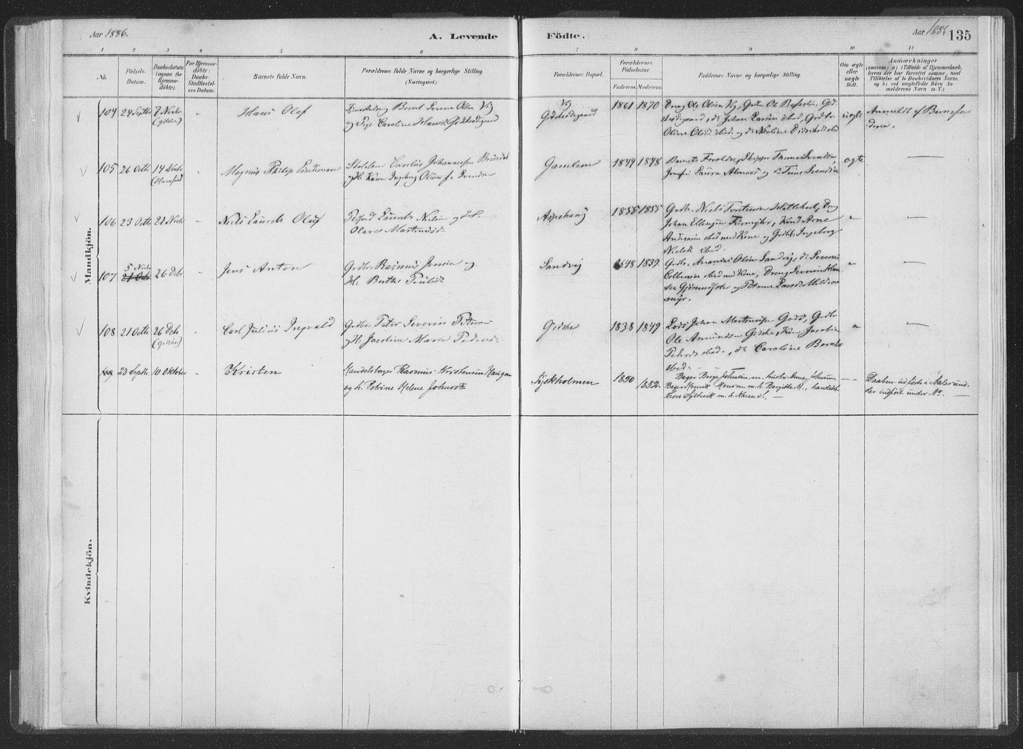 Ministerialprotokoller, klokkerbøker og fødselsregistre - Møre og Romsdal, AV/SAT-A-1454/528/L0401: Parish register (official) no. 528A12I, 1880-1920, p. 135