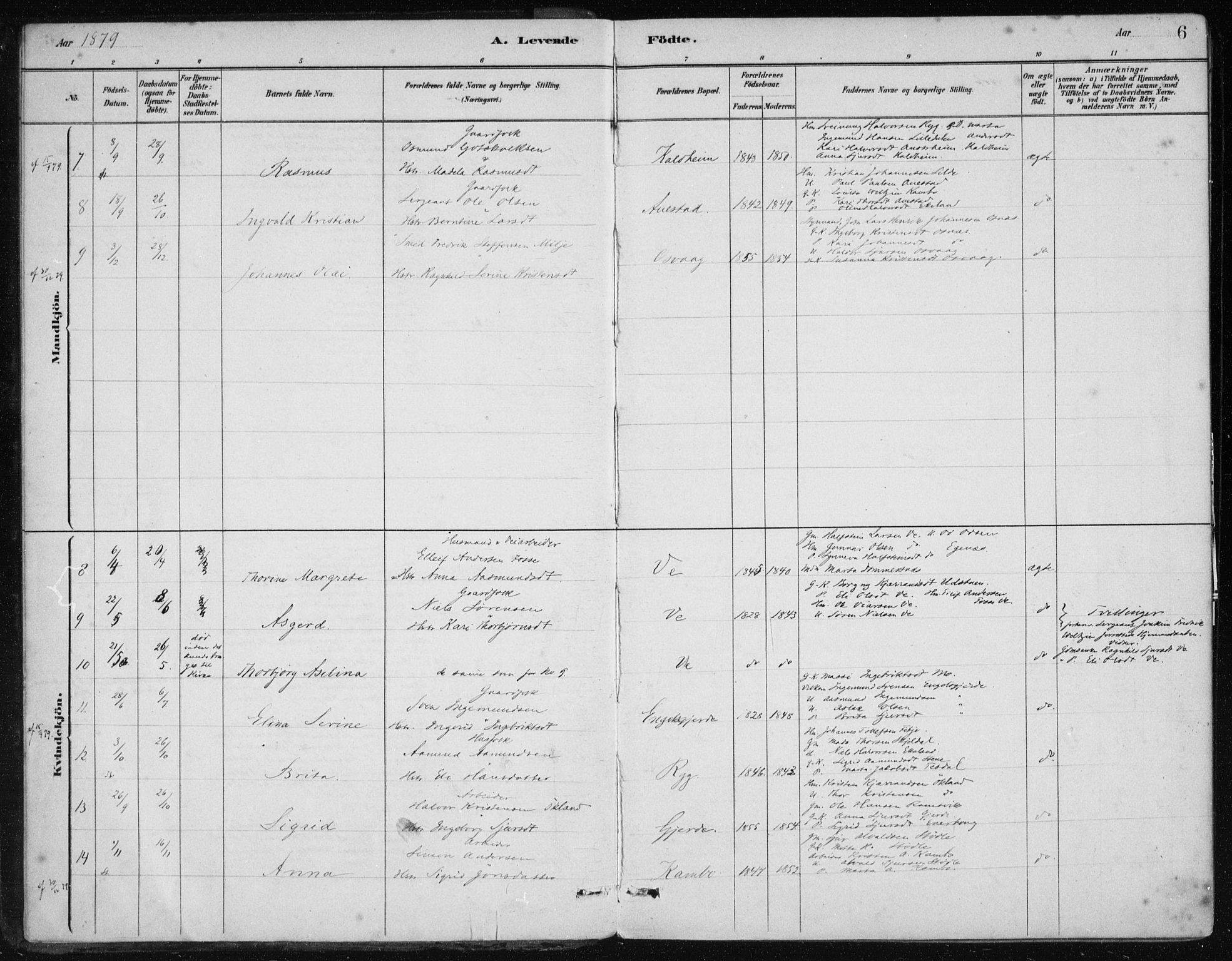 Etne sokneprestembete, AV/SAB-A-75001/H/Haa: Parish register (official) no. C  1, 1879-1919, p. 6