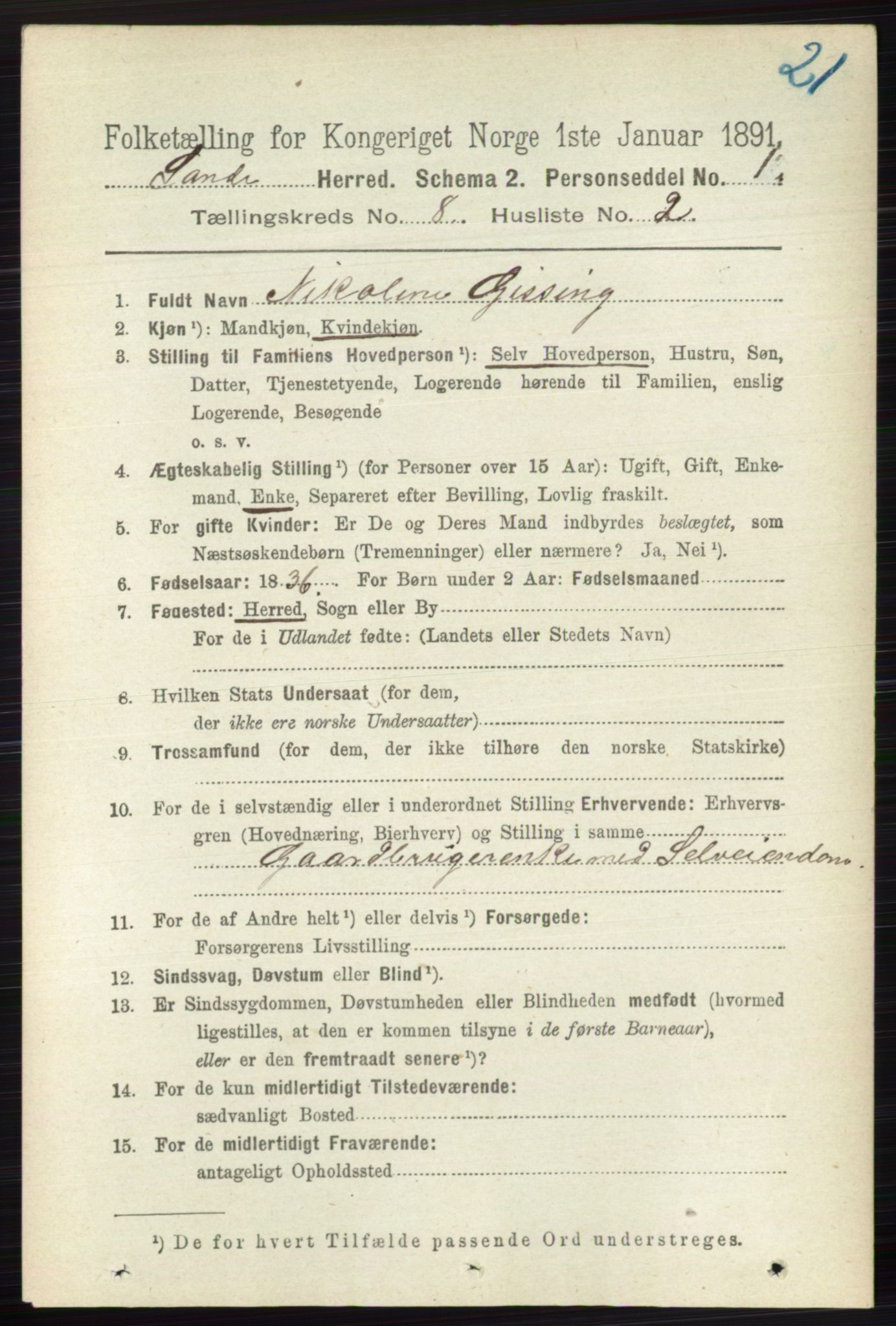 RA, 1891 census for 0713 Sande, 1891, p. 3533