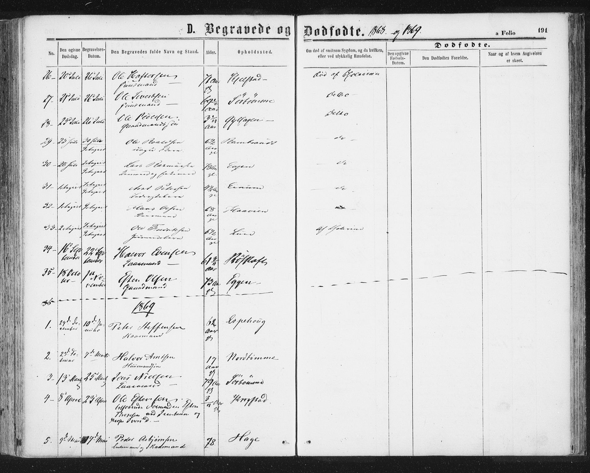 Ministerialprotokoller, klokkerbøker og fødselsregistre - Sør-Trøndelag, SAT/A-1456/692/L1104: Parish register (official) no. 692A04, 1862-1878, p. 191