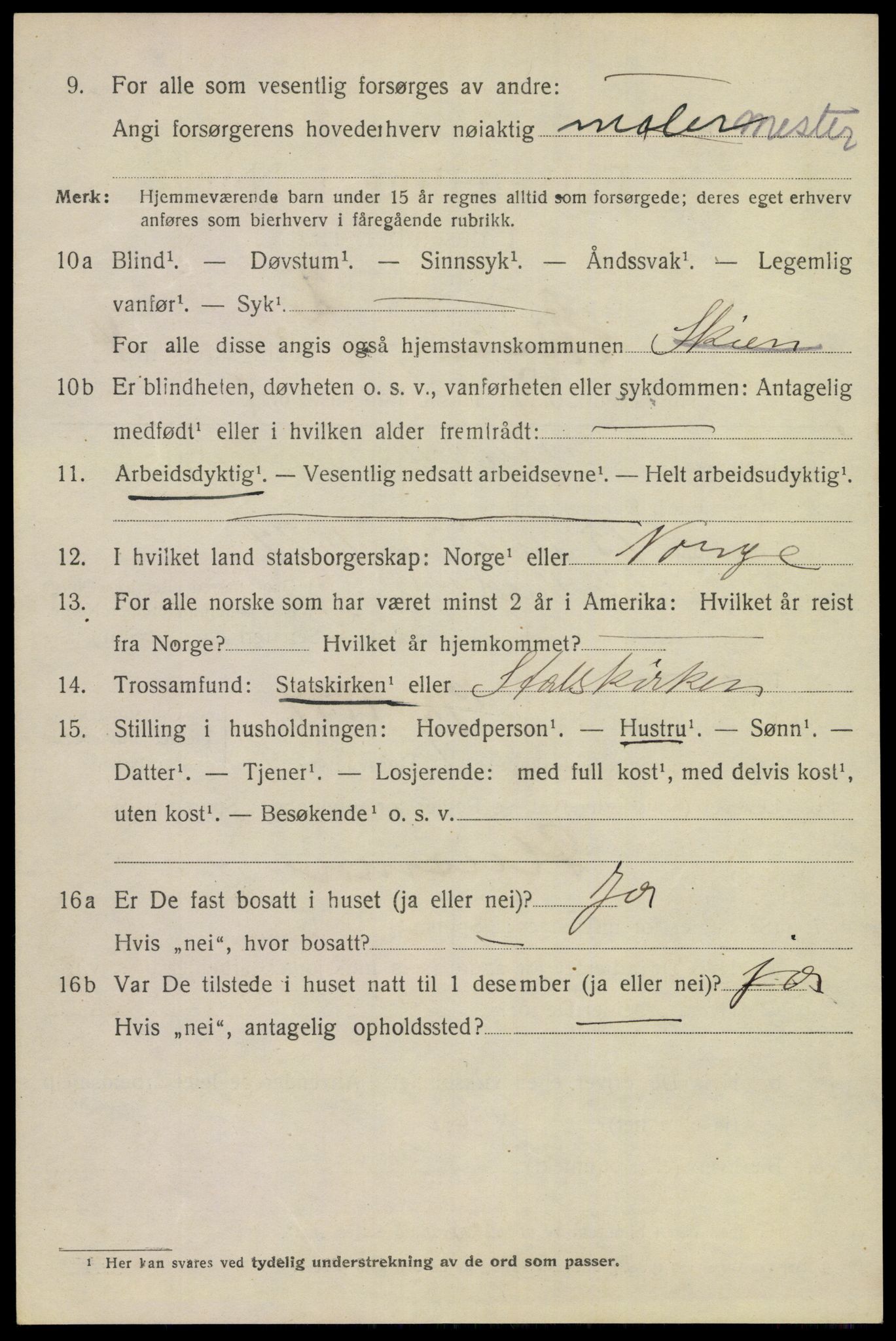 SAKO, 1920 census for Skien, 1920, p. 28597