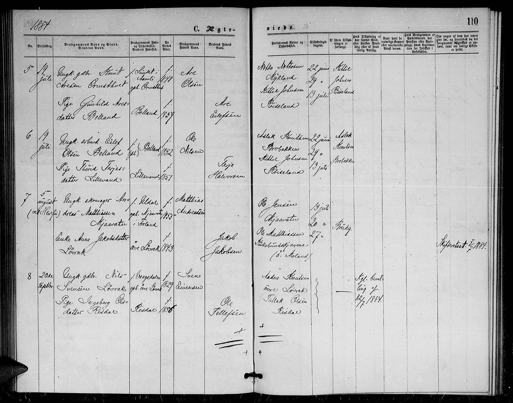 Herefoss sokneprestkontor, AV/SAK-1111-0019/F/Fa/Fac/L0001: Parish register (official) no. A 1, 1871-1886, p. 110