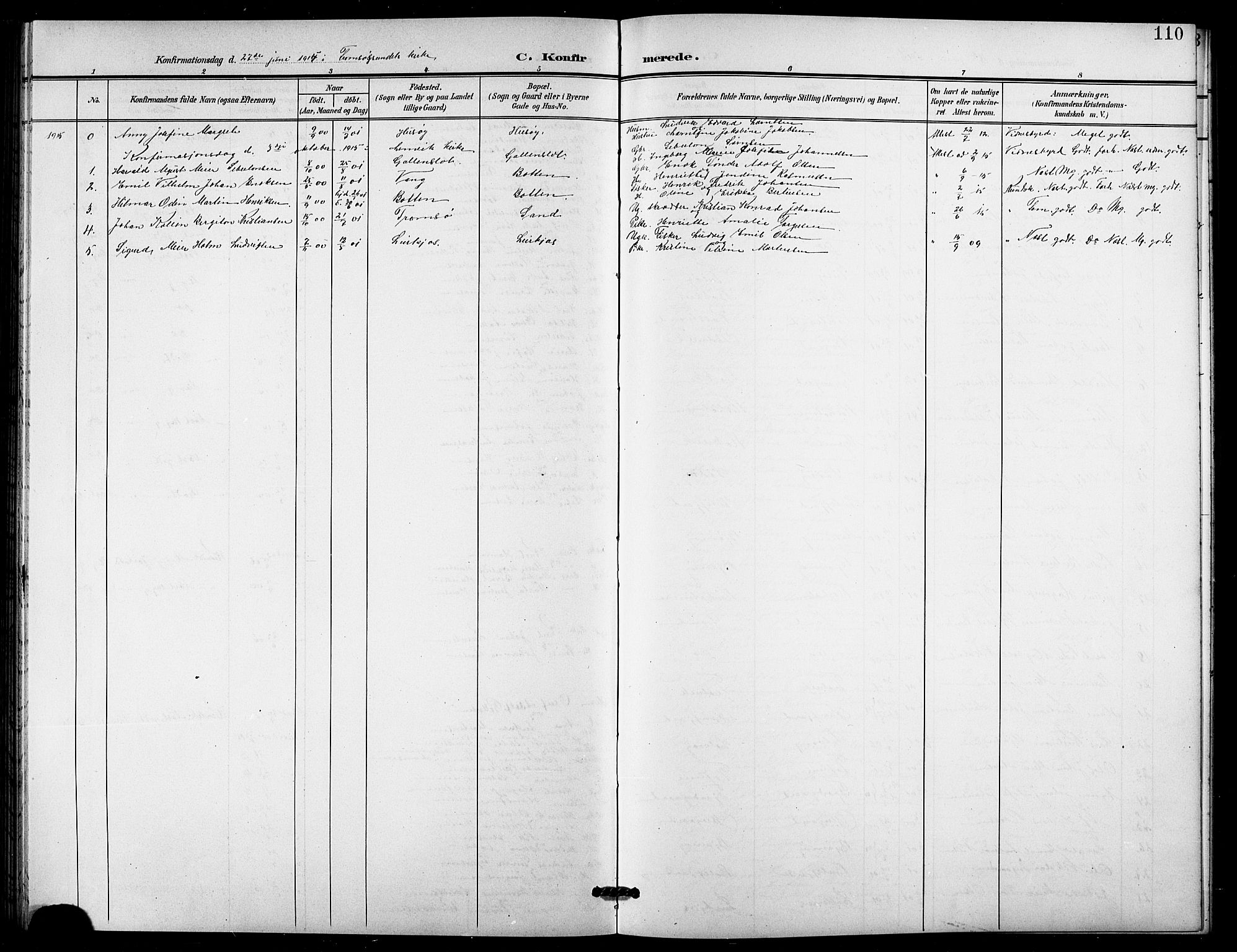 Lenvik sokneprestembete, AV/SATØ-S-1310/H/Ha/Hab/L0022klokker: Parish register (copy) no. 22, 1901-1918, p. 110