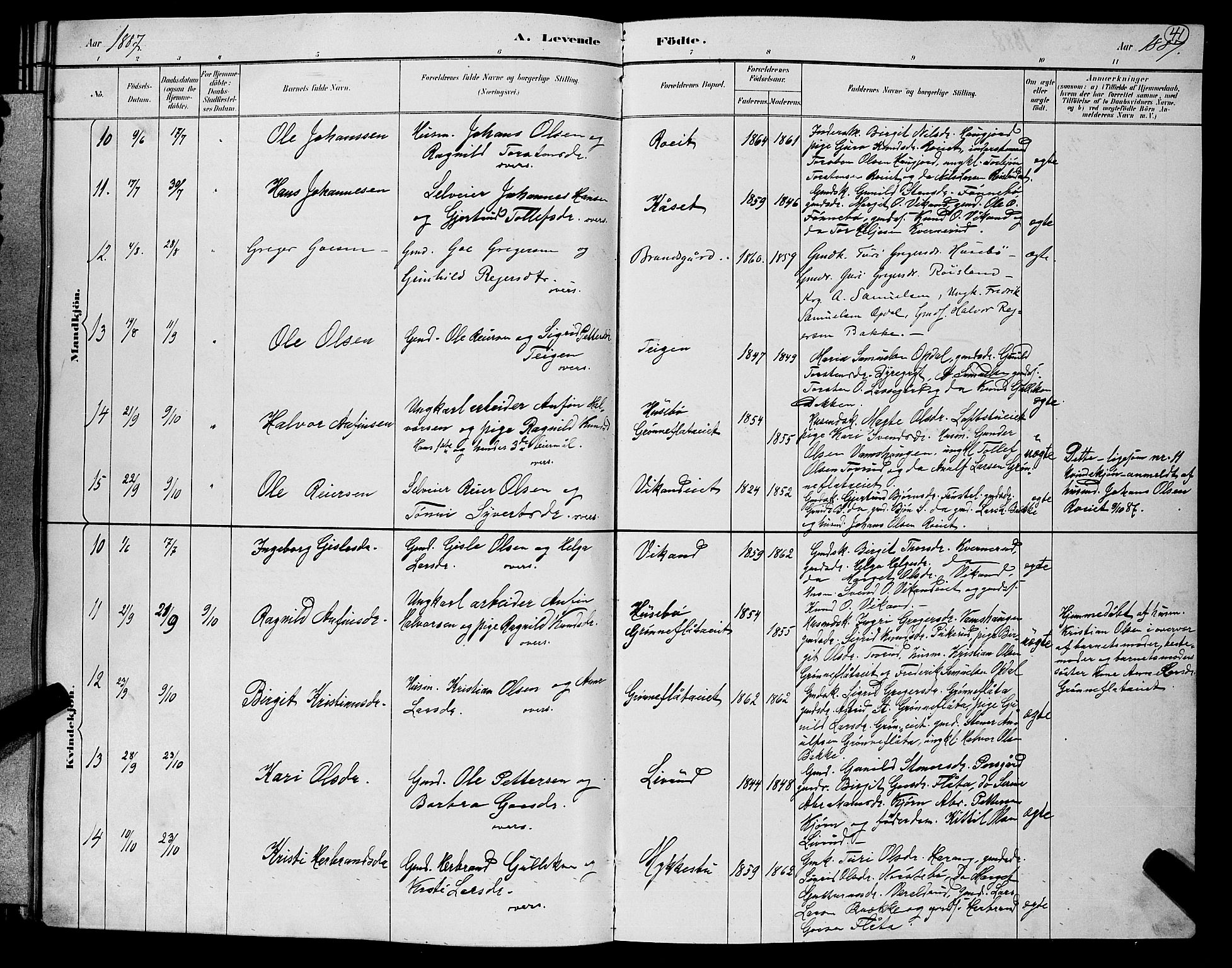 Nore kirkebøker, AV/SAKO-A-238/G/Gb/L0002: Parish register (copy) no. II 2, 1878-1894, p. 41