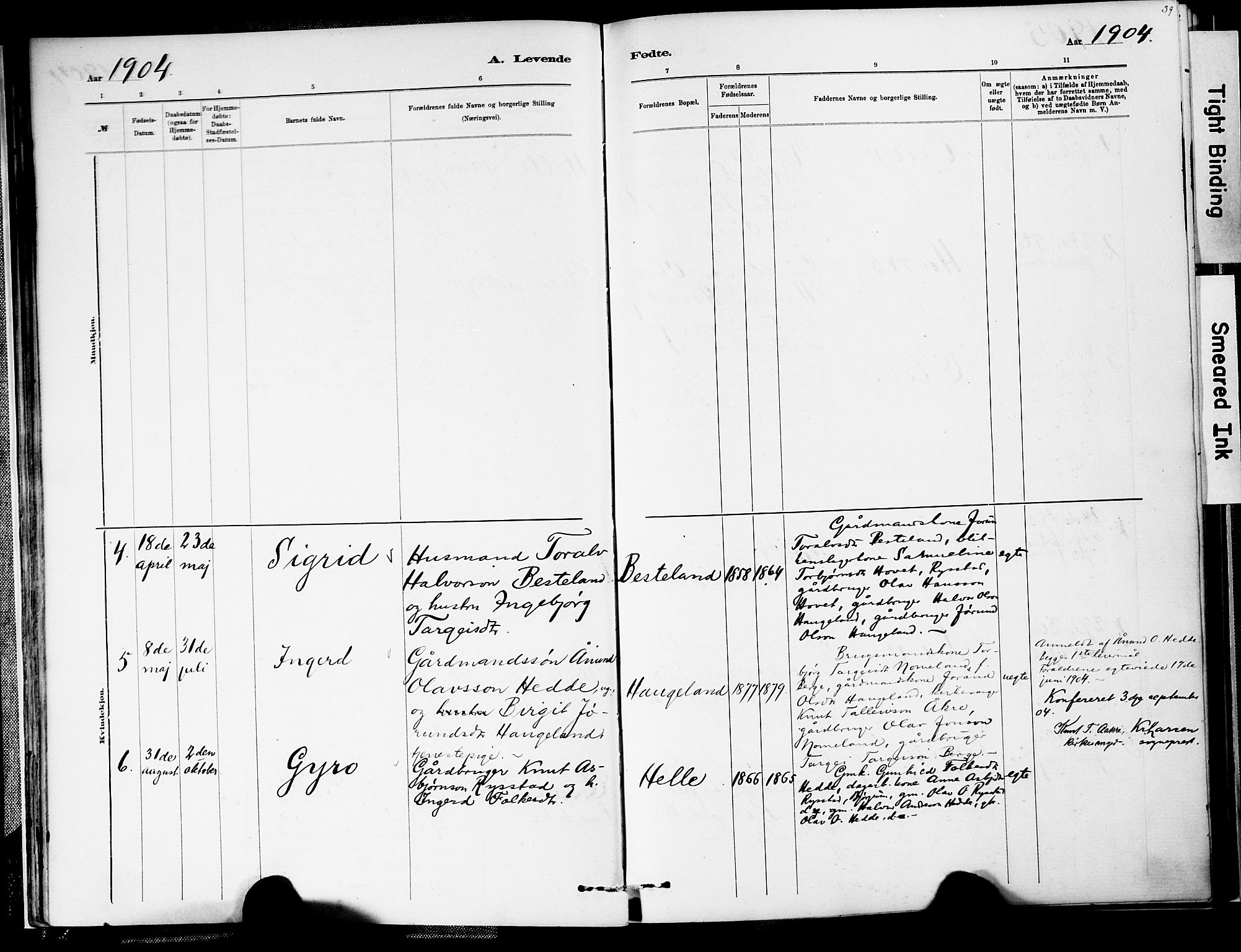 Valle sokneprestkontor, SAK/1111-0044/F/Fa/Fab/L0001: Parish register (official) no. A 1, 1882-1910, p. 39