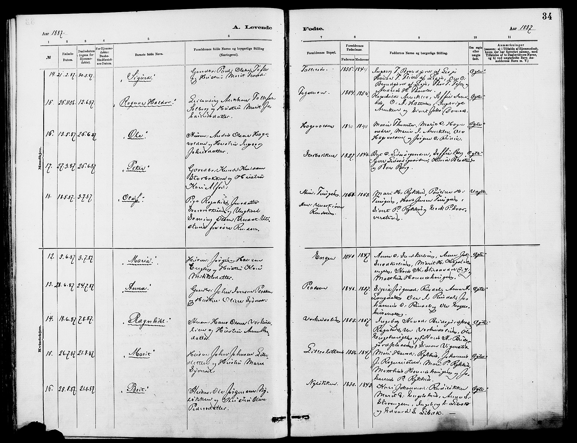 Dovre prestekontor, AV/SAH-PREST-066/H/Ha/Hab/L0002: Parish register (copy) no. 2, 1881-1907, p. 34