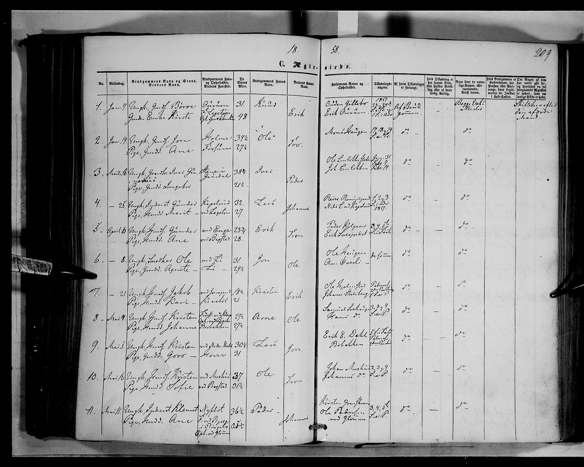 Øyer prestekontor, AV/SAH-PREST-084/H/Ha/Haa/L0006: Parish register (official) no. 6, 1858-1874, p. 209