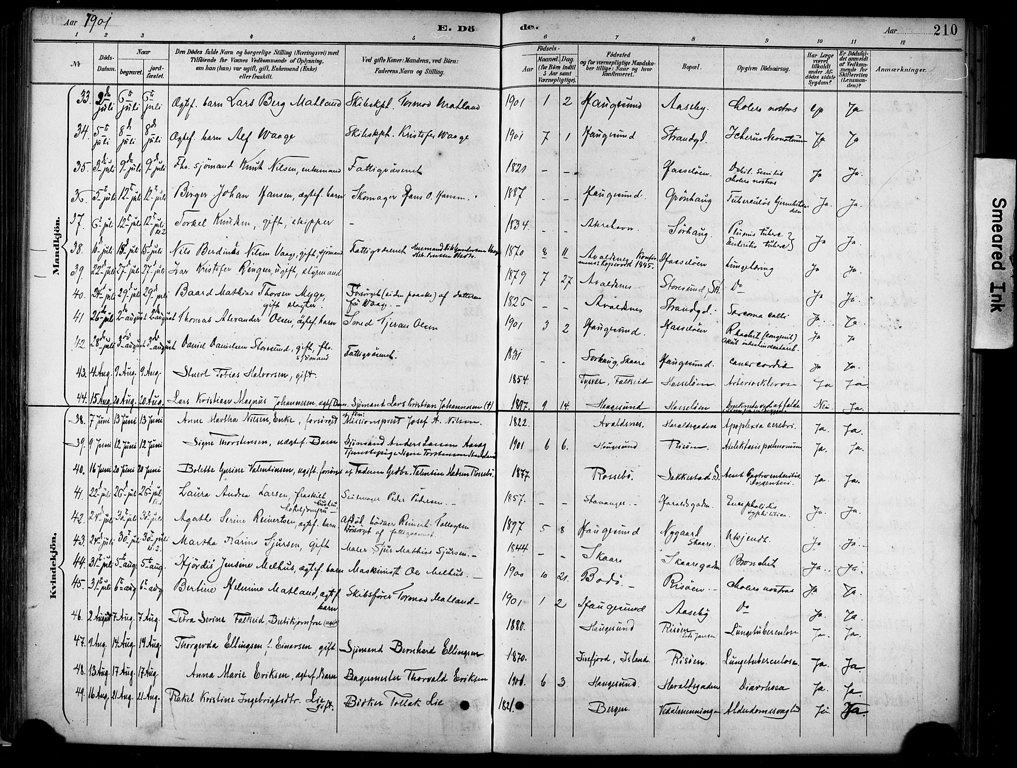 Haugesund sokneprestkontor, SAST/A -101863/H/Ha/Haa/L0005: Parish register (official) no. A 5, 1891-1903, p. 210