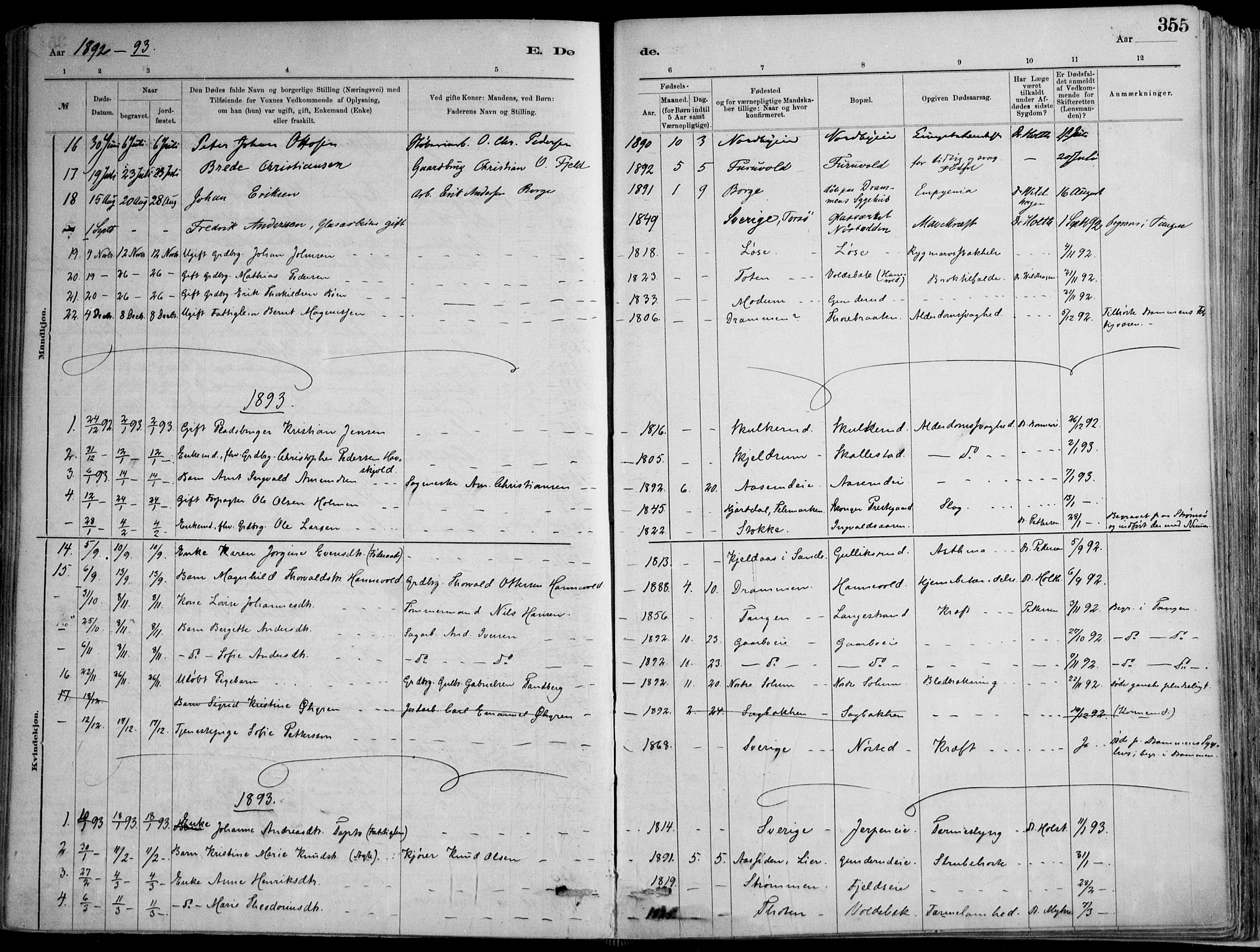 Skoger kirkebøker, SAKO/A-59/F/Fa/L0006: Parish register (official) no. I 6, 1885-1910, p. 355