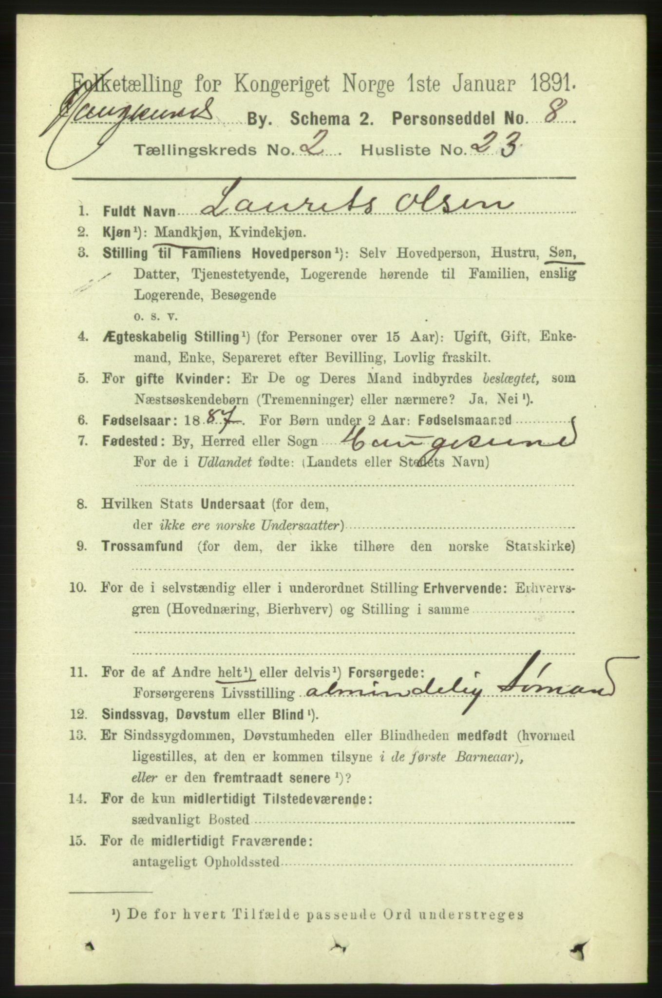 RA, 1891 census for 1106 Haugesund, 1891, p. 1049