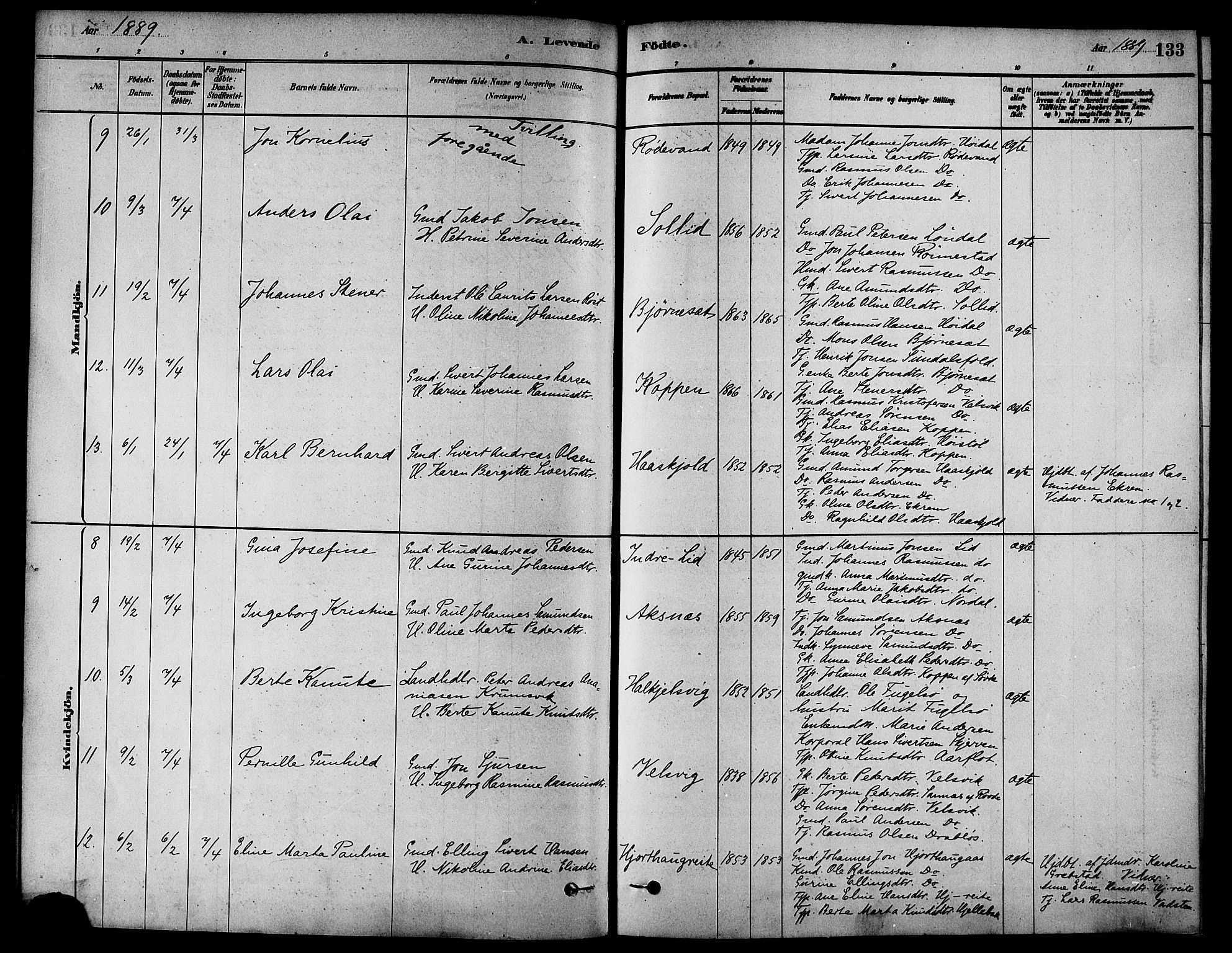 Ministerialprotokoller, klokkerbøker og fødselsregistre - Møre og Romsdal, AV/SAT-A-1454/511/L0141: Parish register (official) no. 511A08, 1878-1890, p. 133