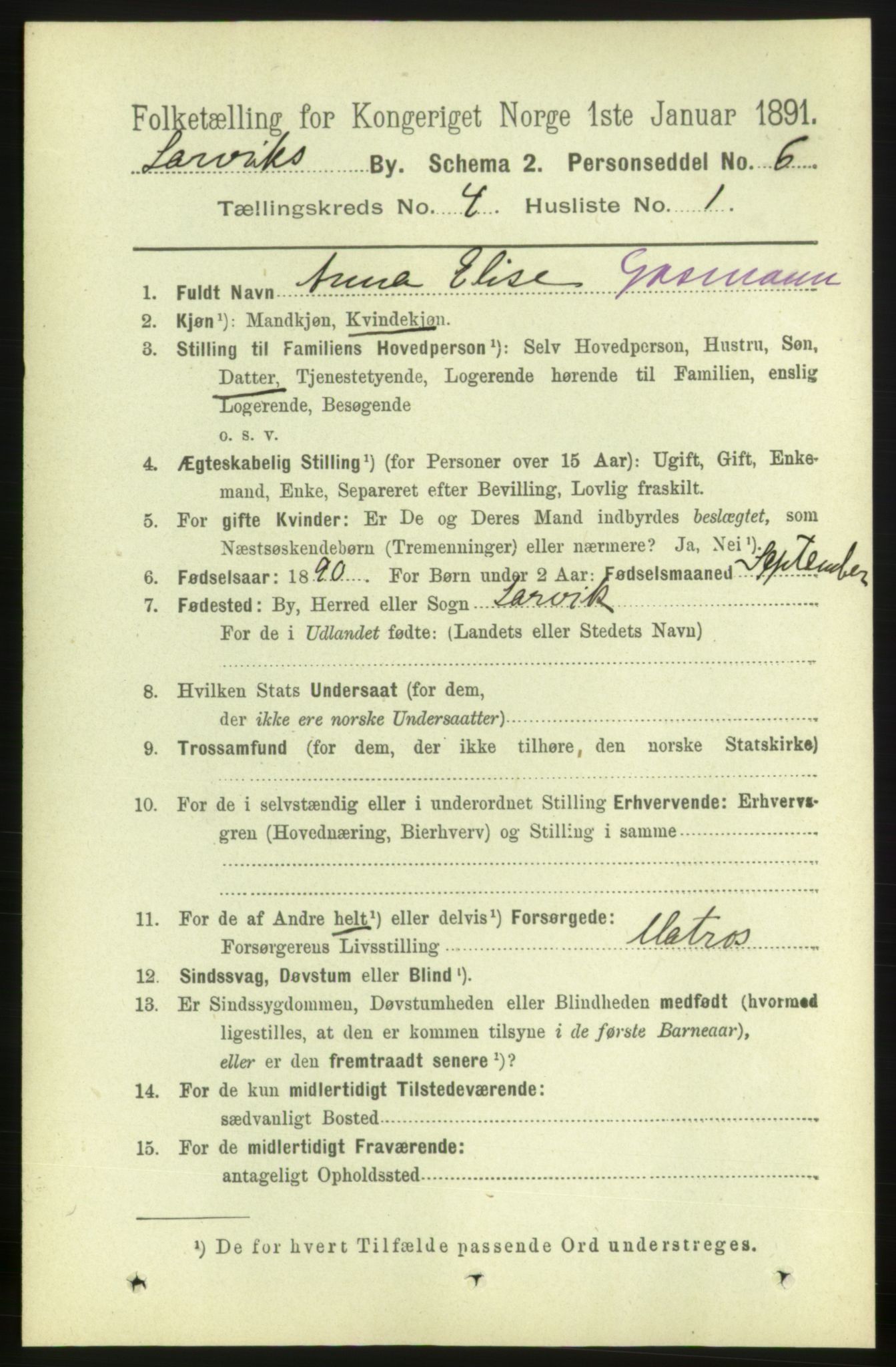 RA, 1891 census for 0707 Larvik, 1891, p. 5063