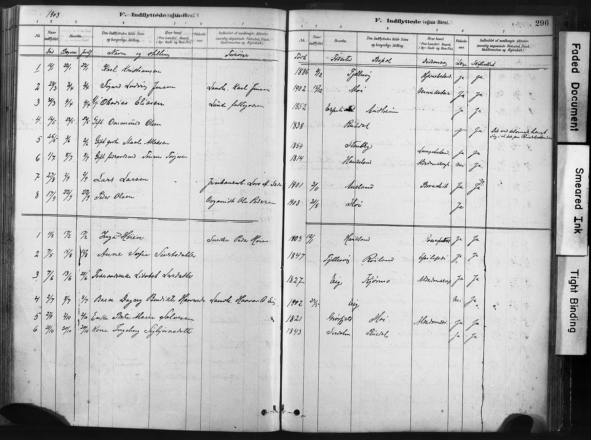 Lund sokneprestkontor, SAST/A-101809/S06/L0011: Parish register (official) no. A 10, 1877-1904, p. 296