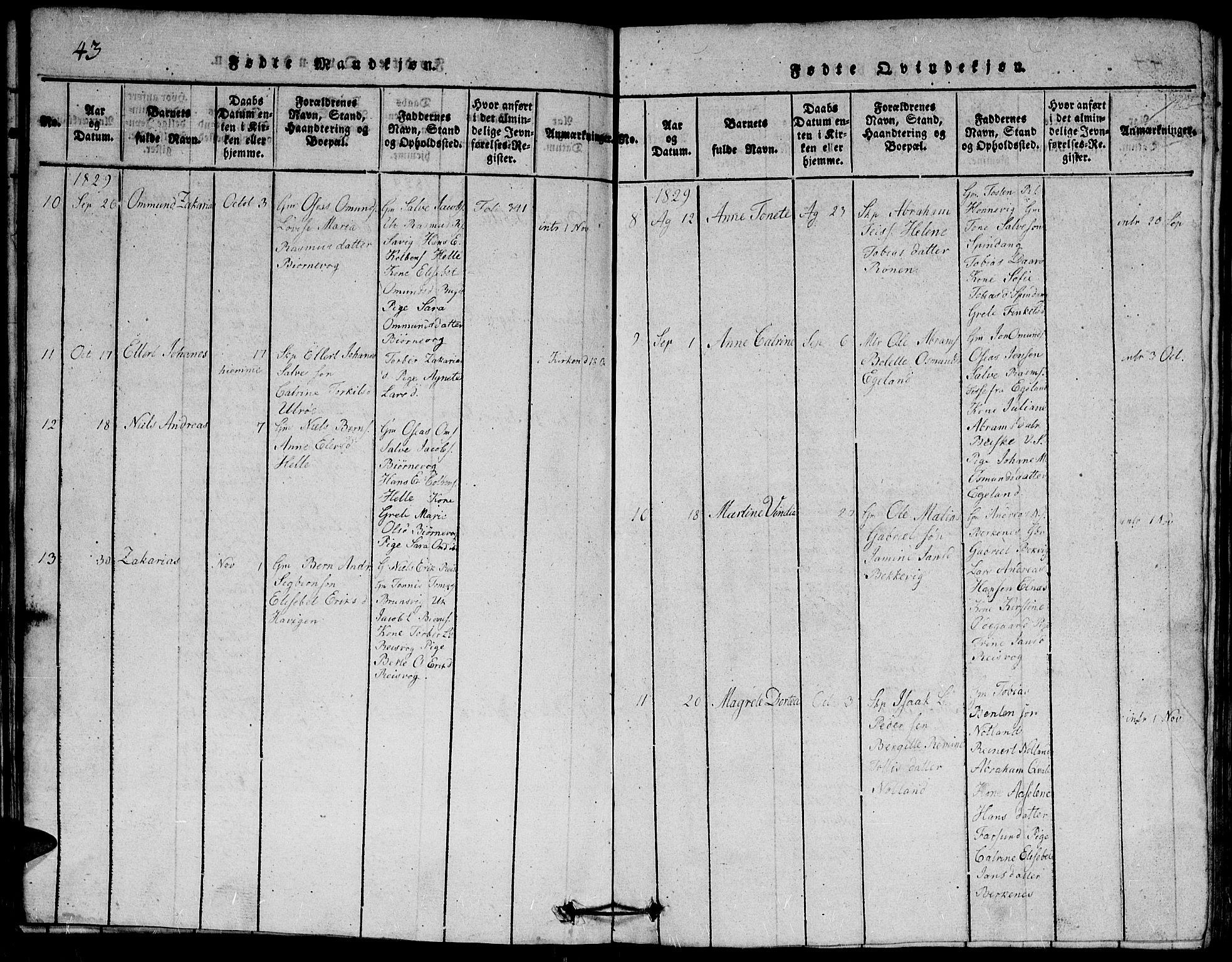 Herad sokneprestkontor, SAK/1111-0018/F/Fb/Fbb/L0001: Parish register (copy) no. B 1, 1815-1852, p. 43