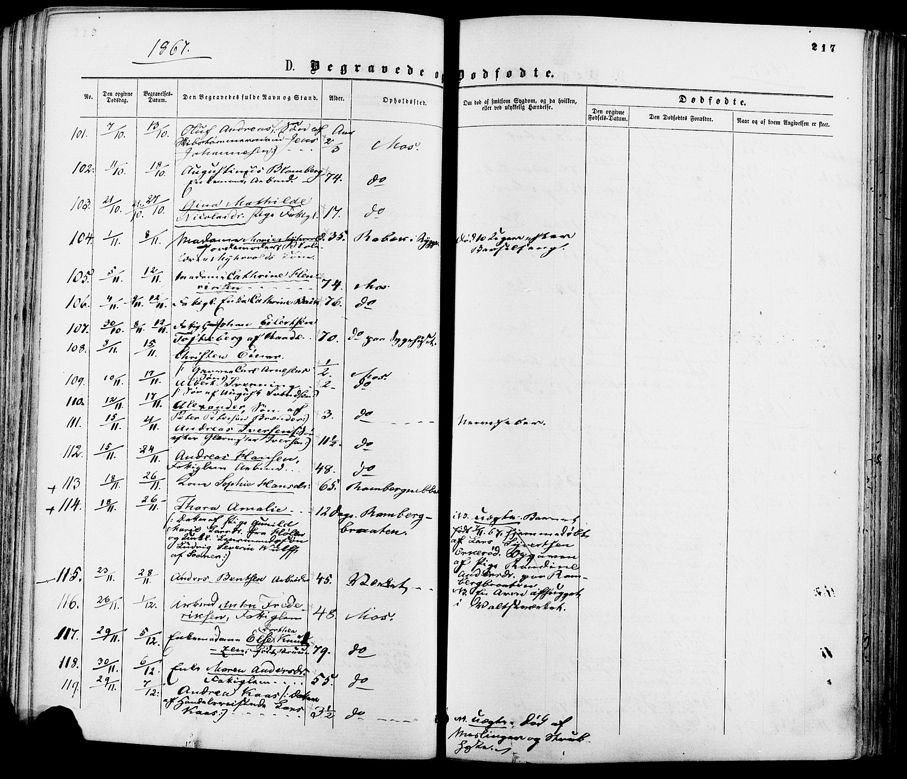 Moss prestekontor Kirkebøker, AV/SAO-A-2003/F/Fa/L0009: Parish register (official) no. I 9, 1861-1869, p. 217