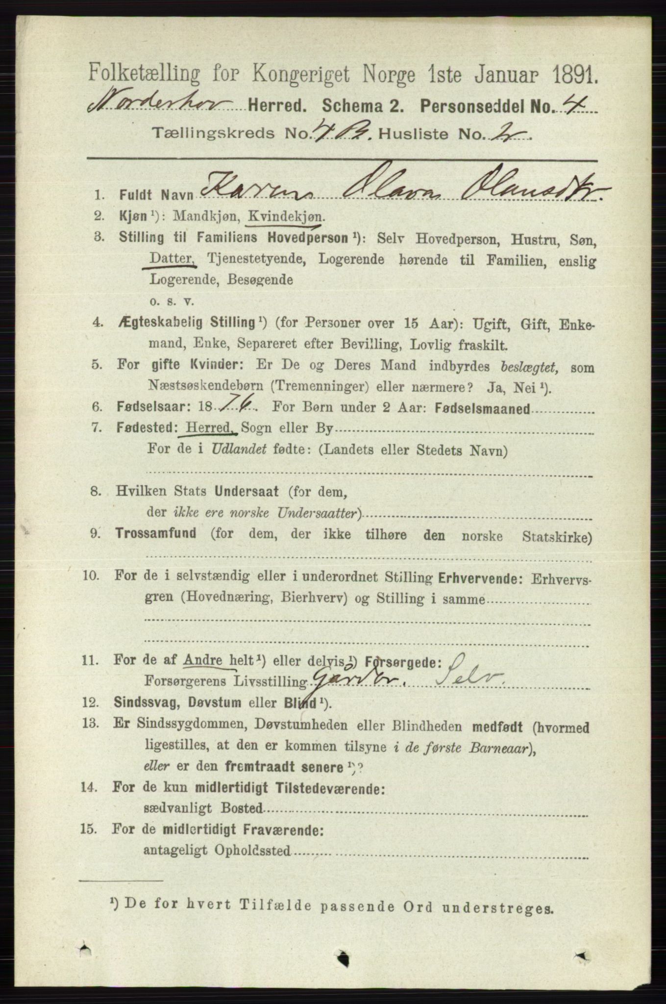 RA, 1891 census for 0613 Norderhov, 1891, p. 2008