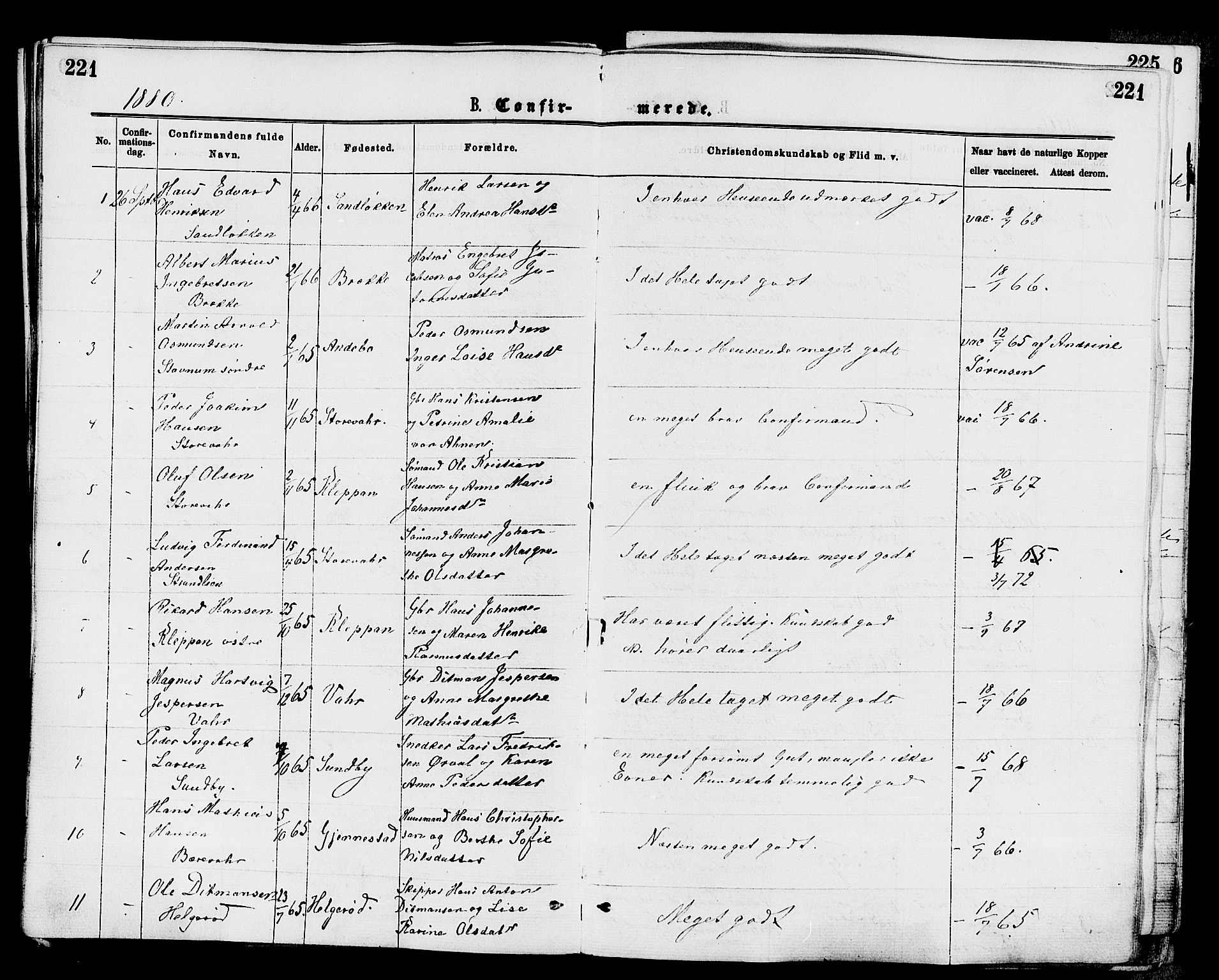 Stokke kirkebøker, SAKO/A-320/F/Fa/L0009: Parish register (official) no. I 9, 1872-1883, p. 221